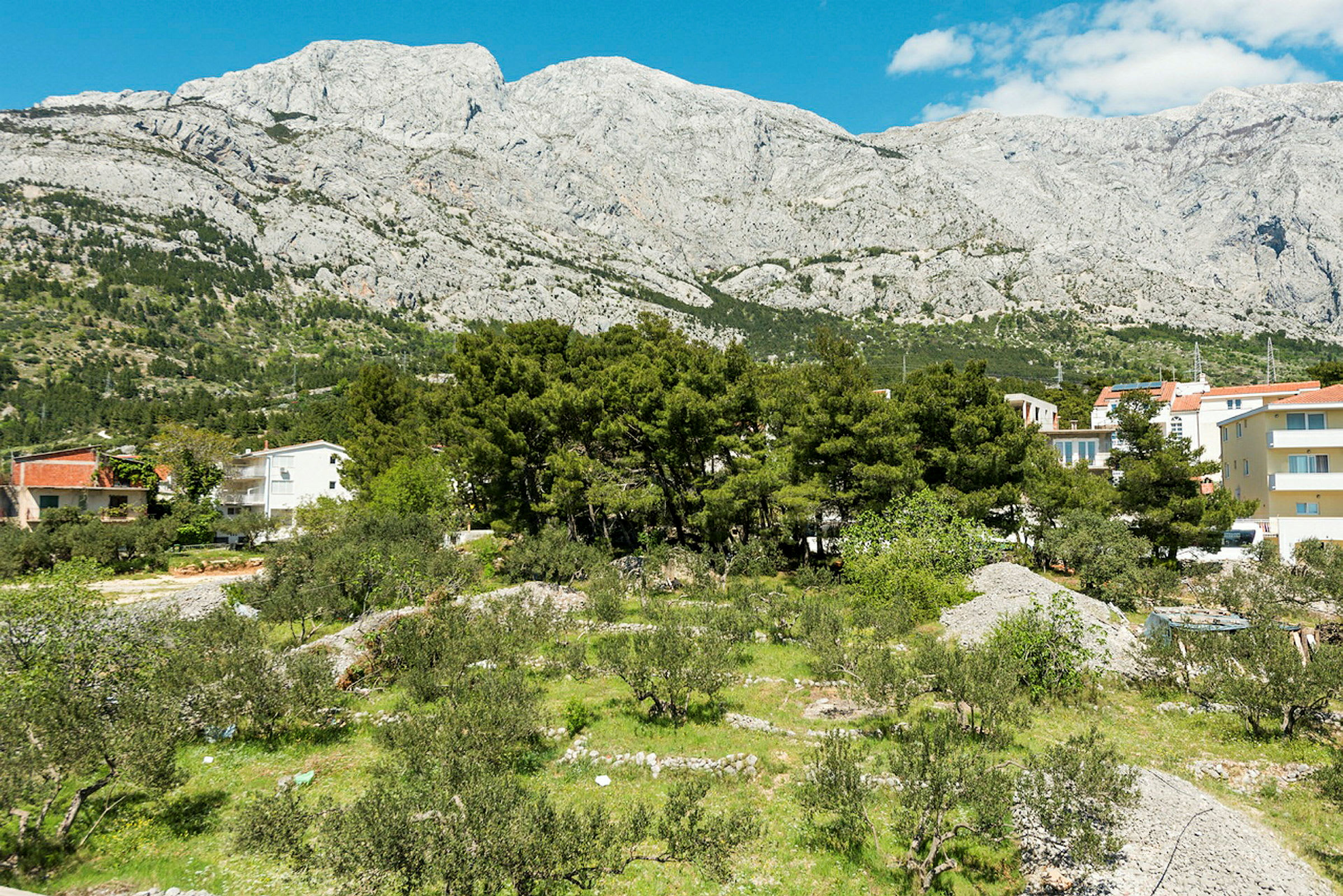 Bild av ett landskap med byggnader, träd och grönska framför berg. (AI-genererad text)
