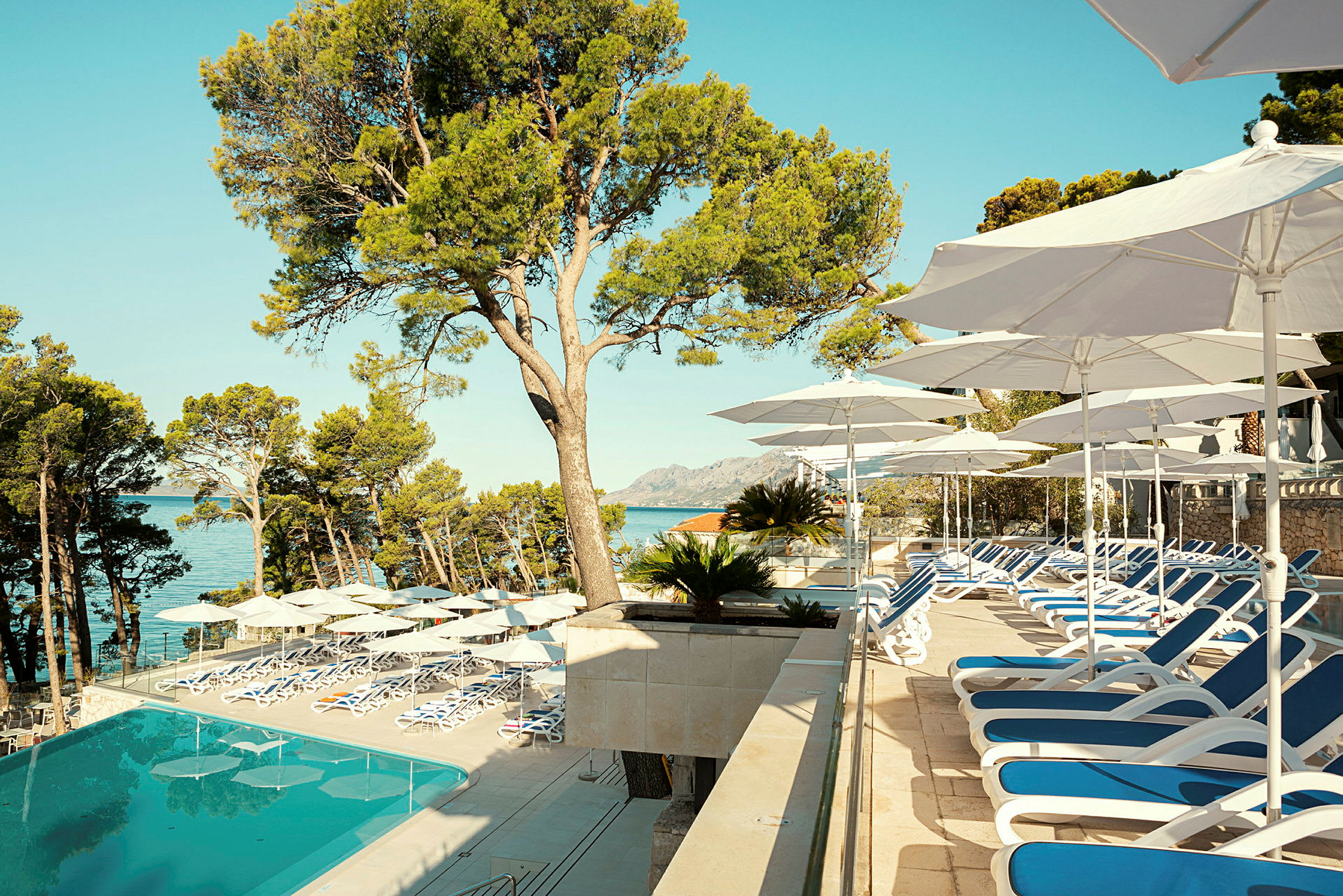 En solterrass med solstolar och parasoller vid en pool, omgivet av träd och utsikt över havet. (AI-genererad text)