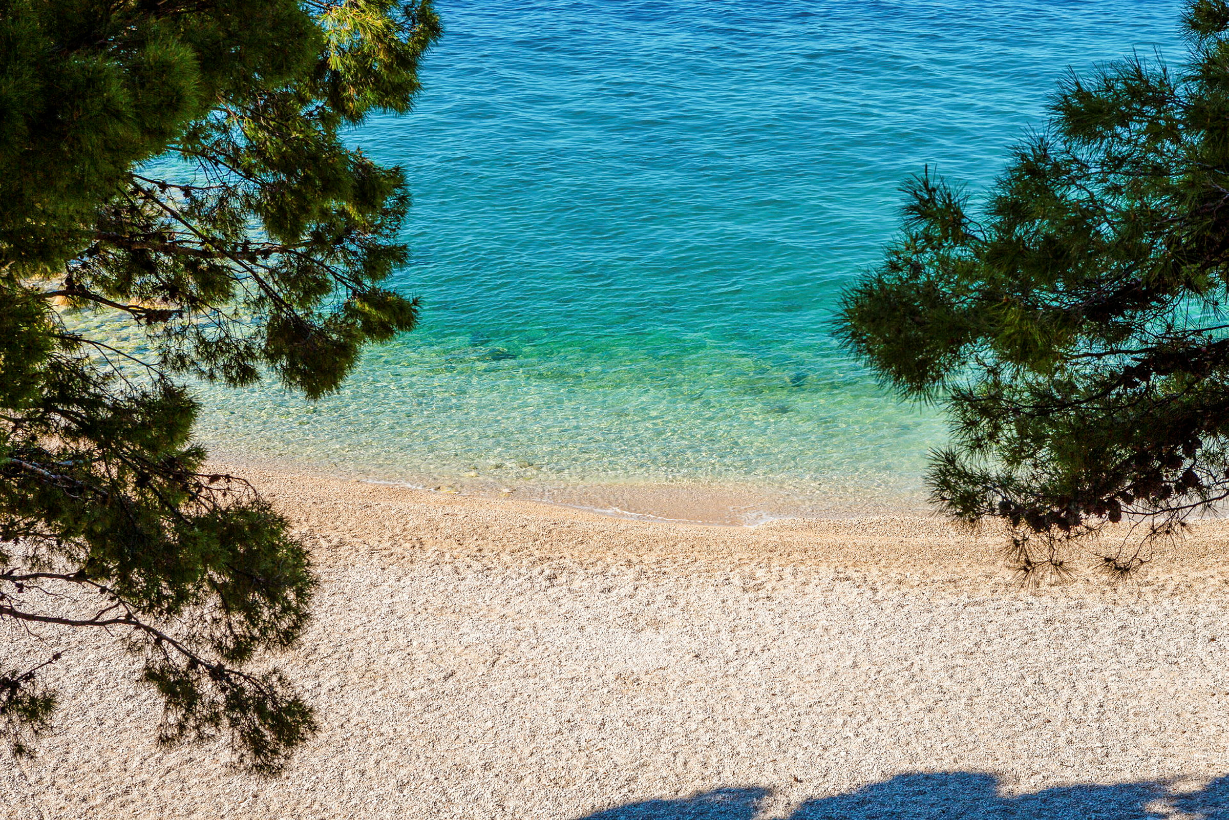 Bild av en strand med klart blått vatten och trädgrenar i förgrunden. (AI-genererad text)