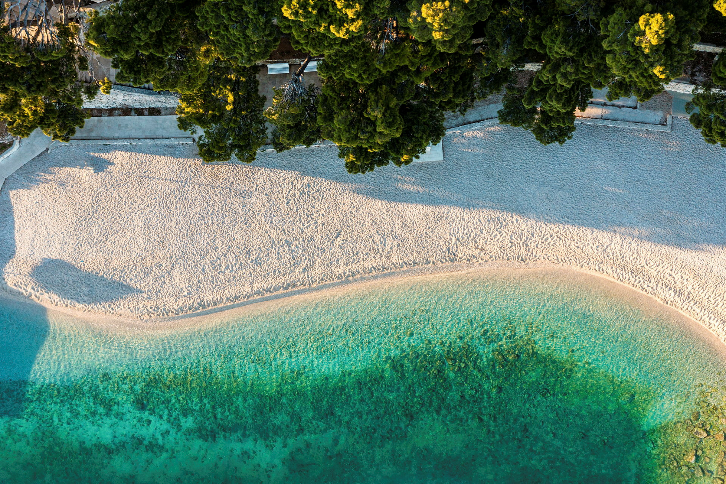 Luftvy över en strand med grönskande träd vid stranden och klart turkost vatten. (AI-genererad text)