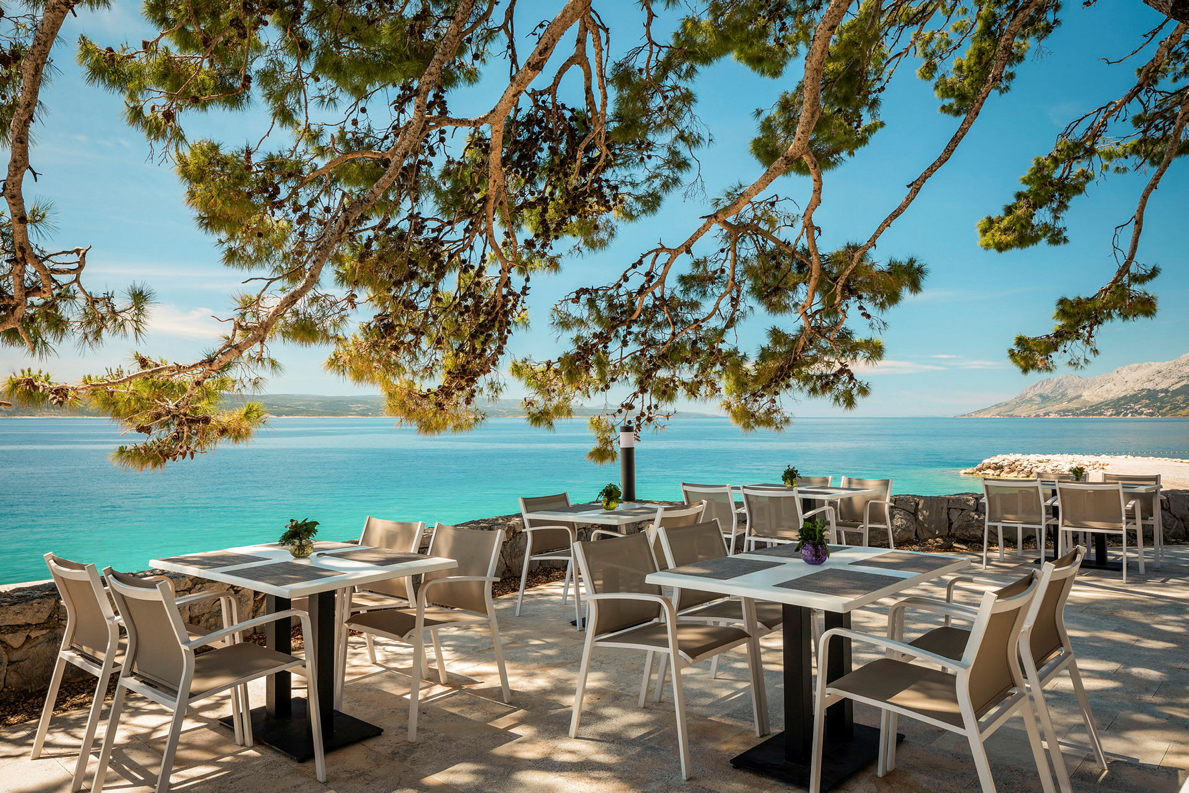 Uteservering med stolar och bord vid havet, med trädgrenar som skuggar området. (AI-genererad text)