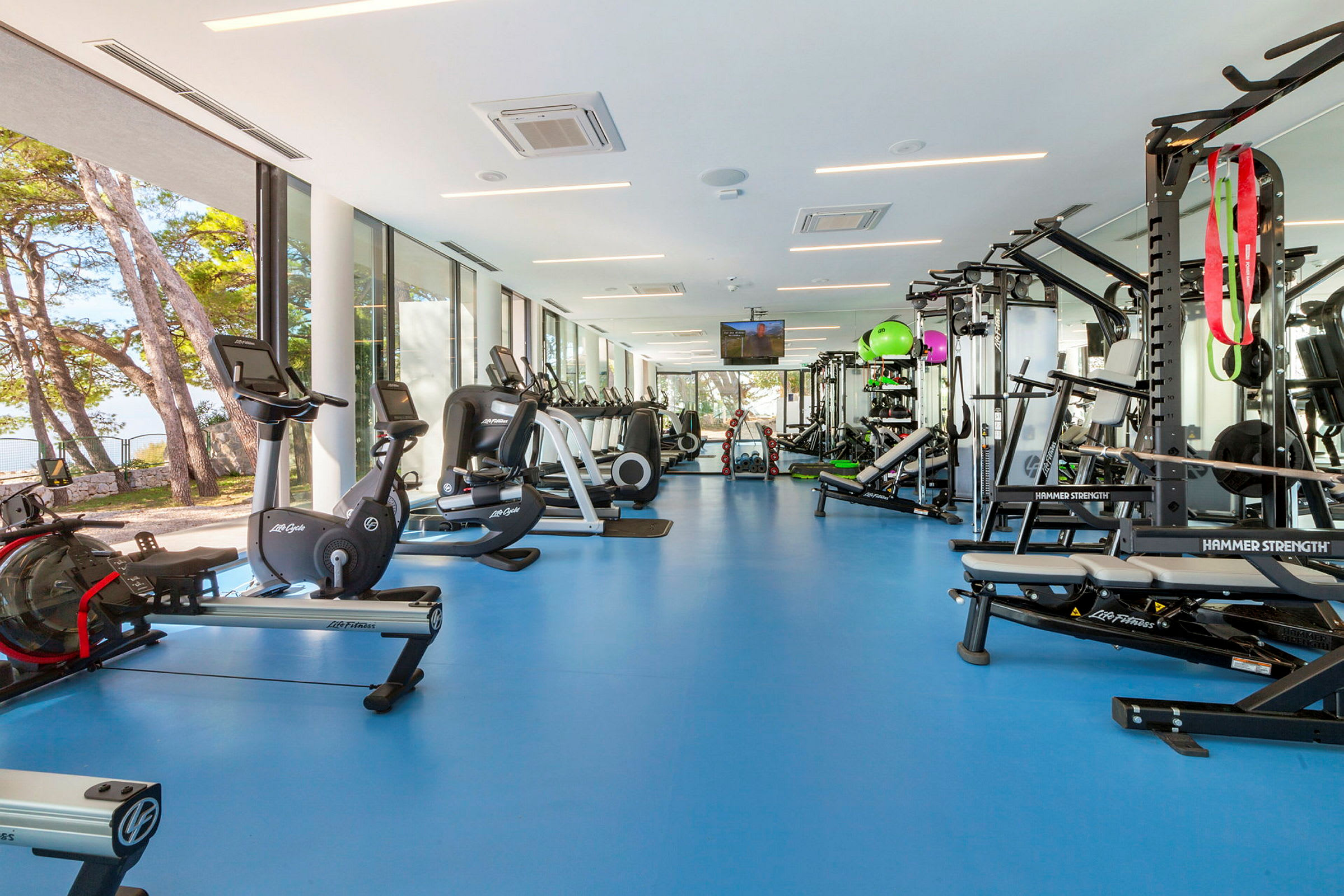 Ett gym med träningsmaskiner och vikter, stora fönster med utsikt mot träd utanför. (AI-genererad text)