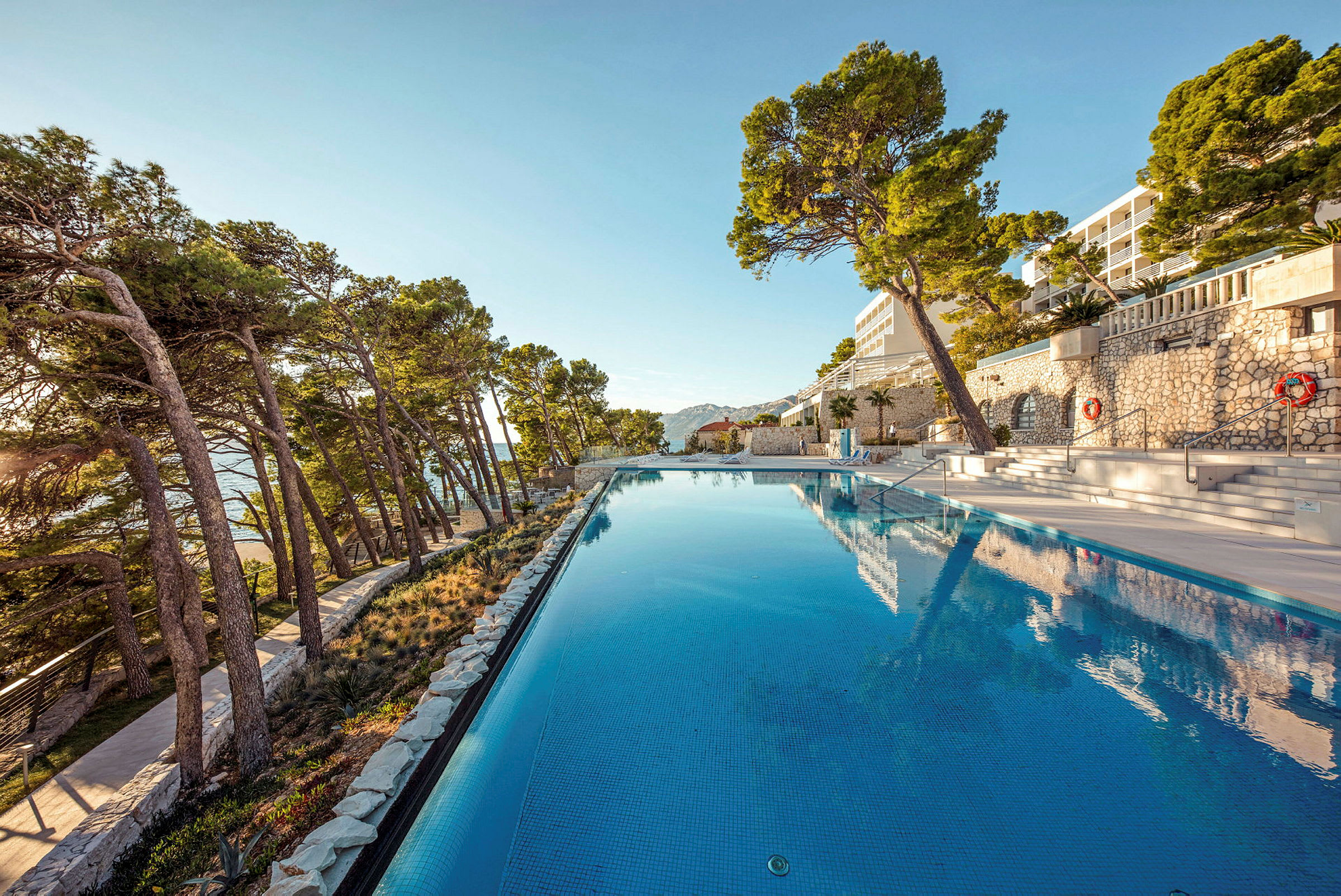 En lång pool vid ett hotell omgiven av höga träd. (AI-genererad text)