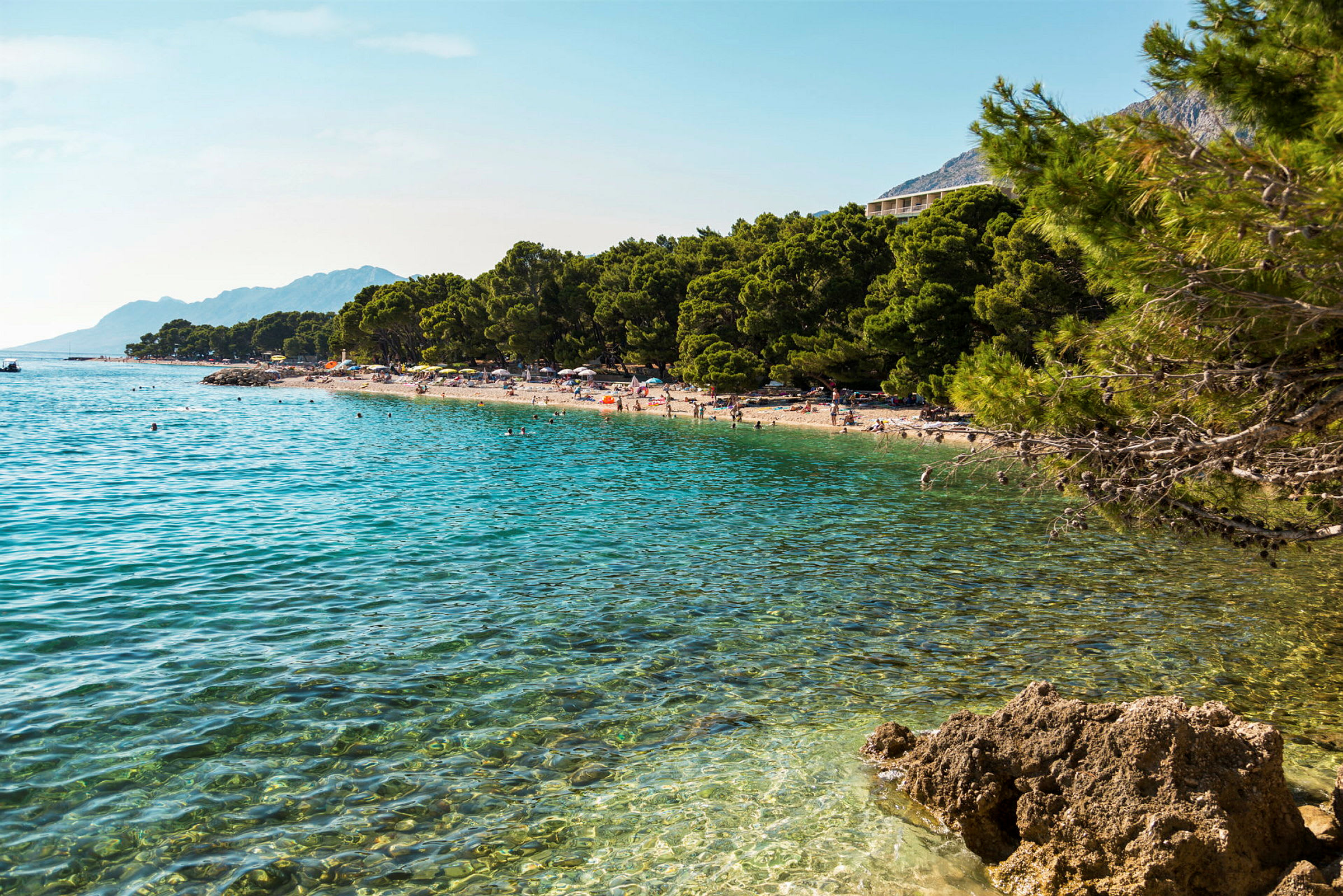 Bilden visar en strand med klart vatten, grönskande träd och människor som kopplar av. (AI-genererad text)