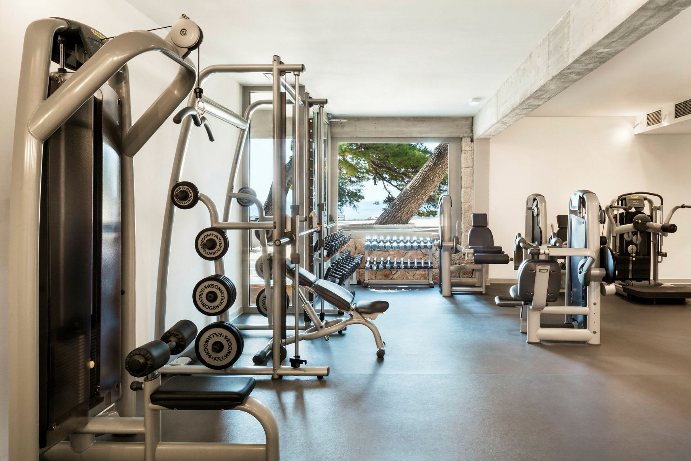 Ett gym med träningsmaskiner och vikter, fönster med utsikt över träd och hav. (AI-genererad text)