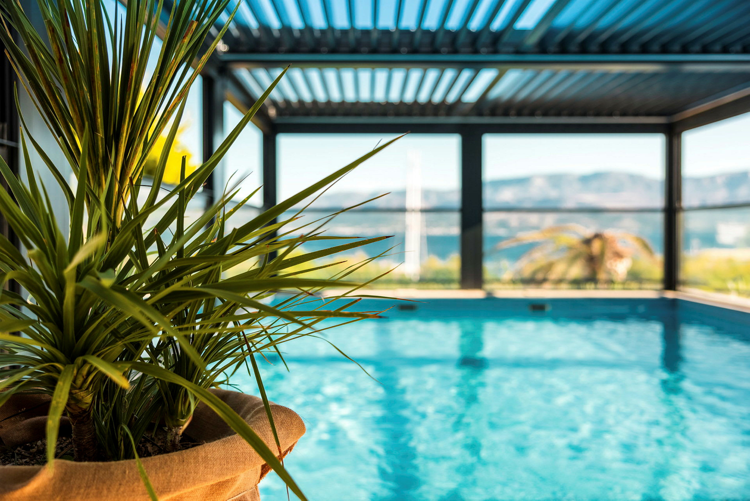En krukväxt i förgrunden med en pool i bakgrunden. (AI-genererad text)