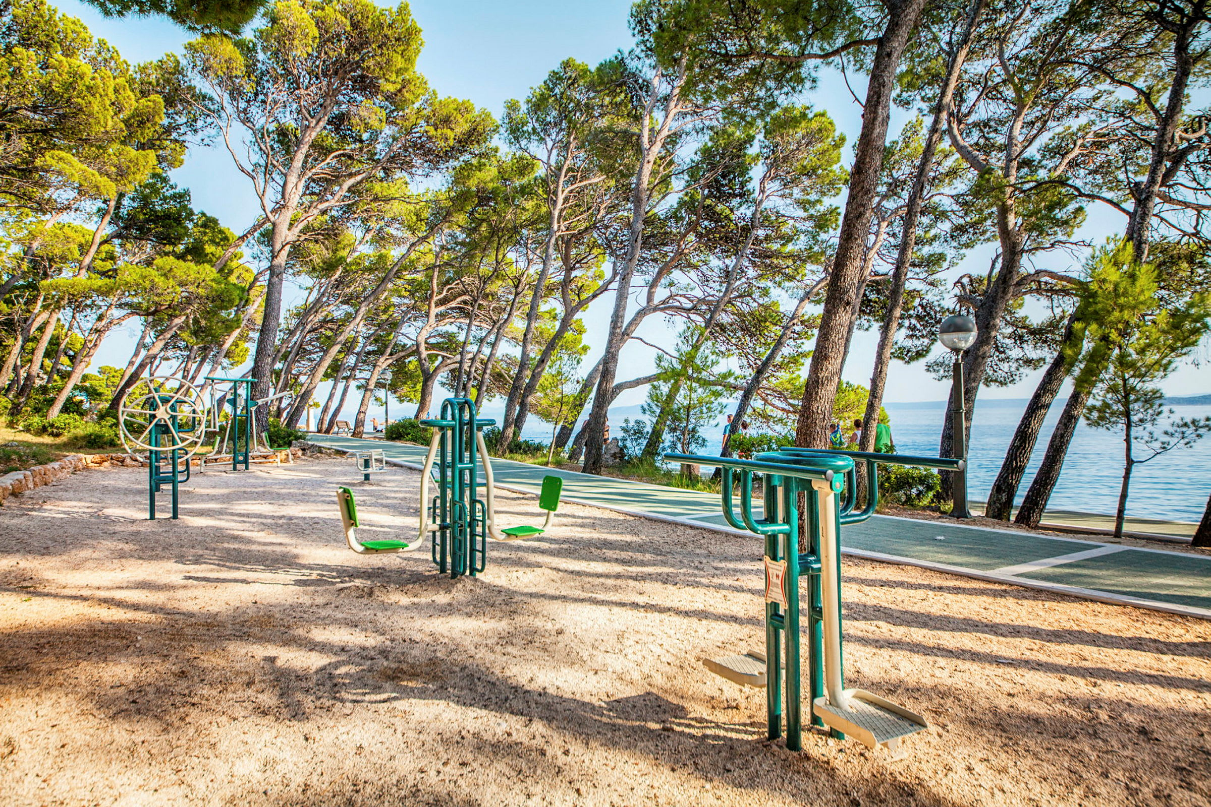 Utomhusgym med träningsutrustning bland tallar vid stranden. (AI-genererad text)