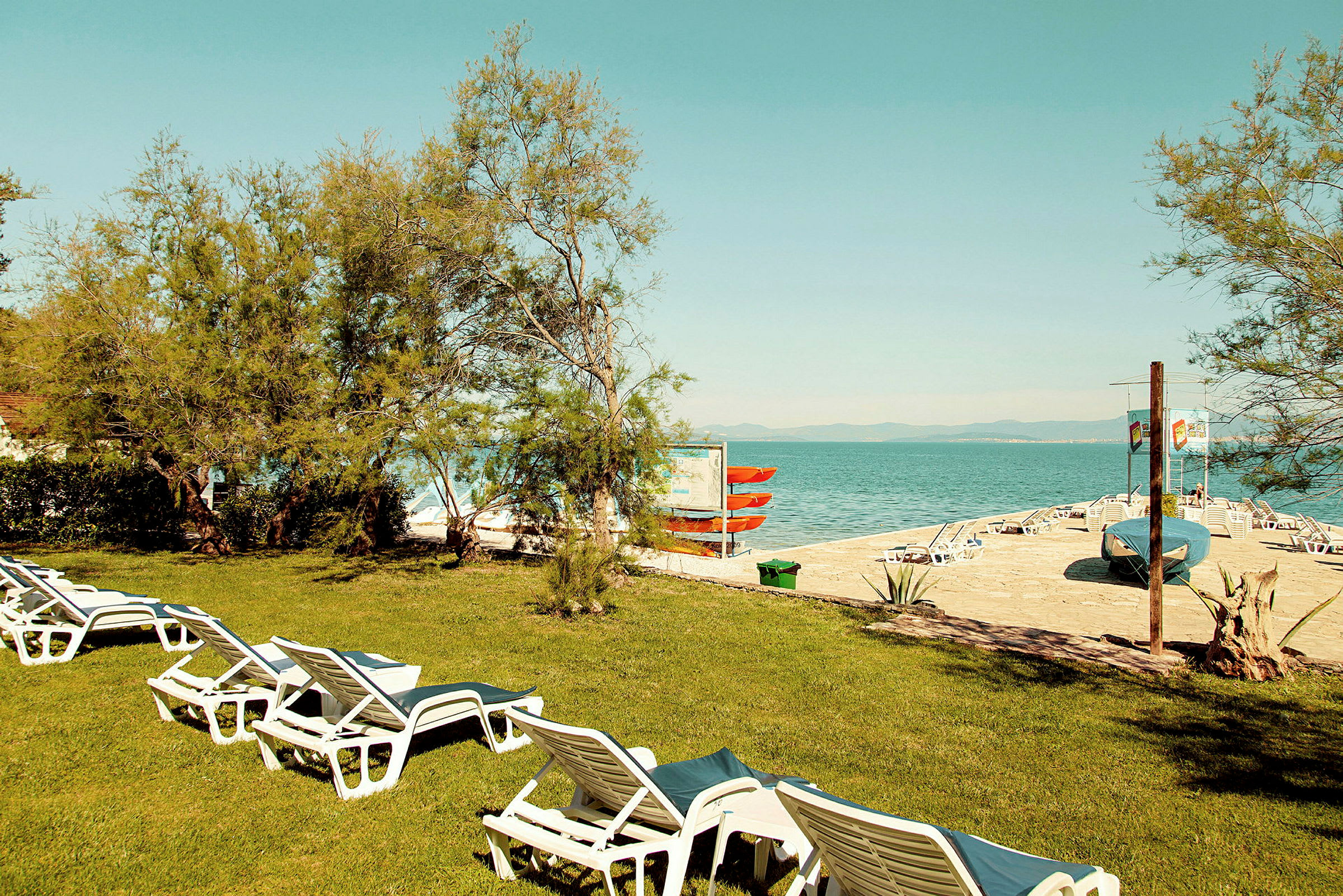 Gräsmatta med solstolar vid stranden och havet. (AI-genererad text)