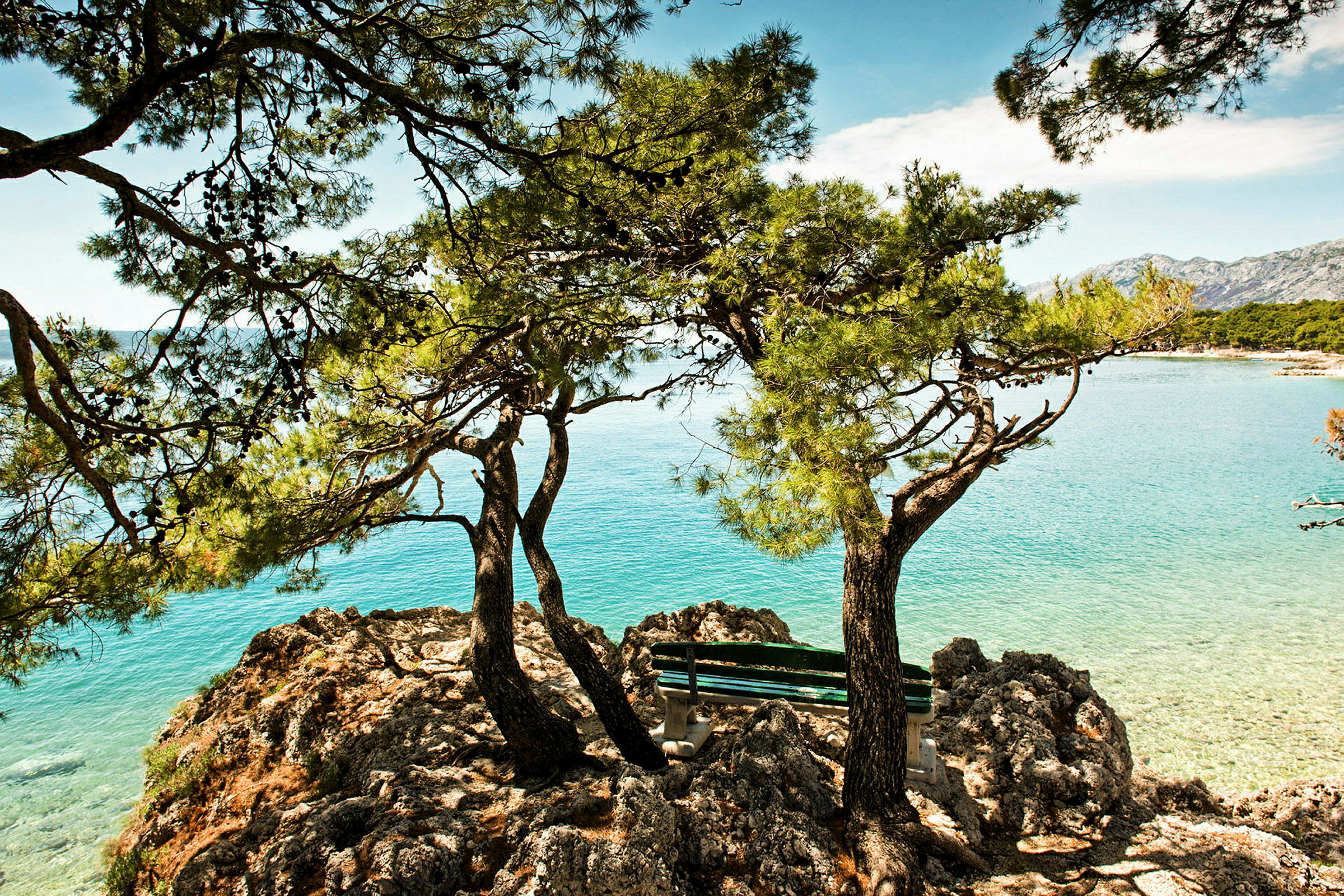 En bänk står mellan två tallar vid en klippa med utsikt över havet. (AI-genererad text)