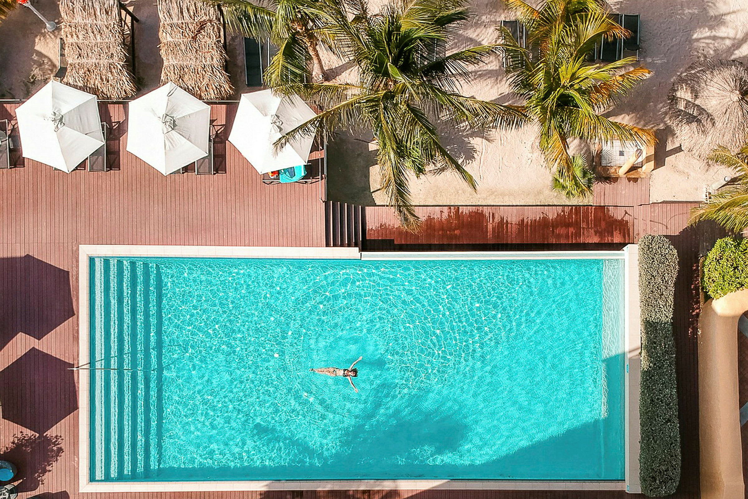 En pool med en person som simmar, omgiven av en träterrass och palmer. (AI-genererad text)