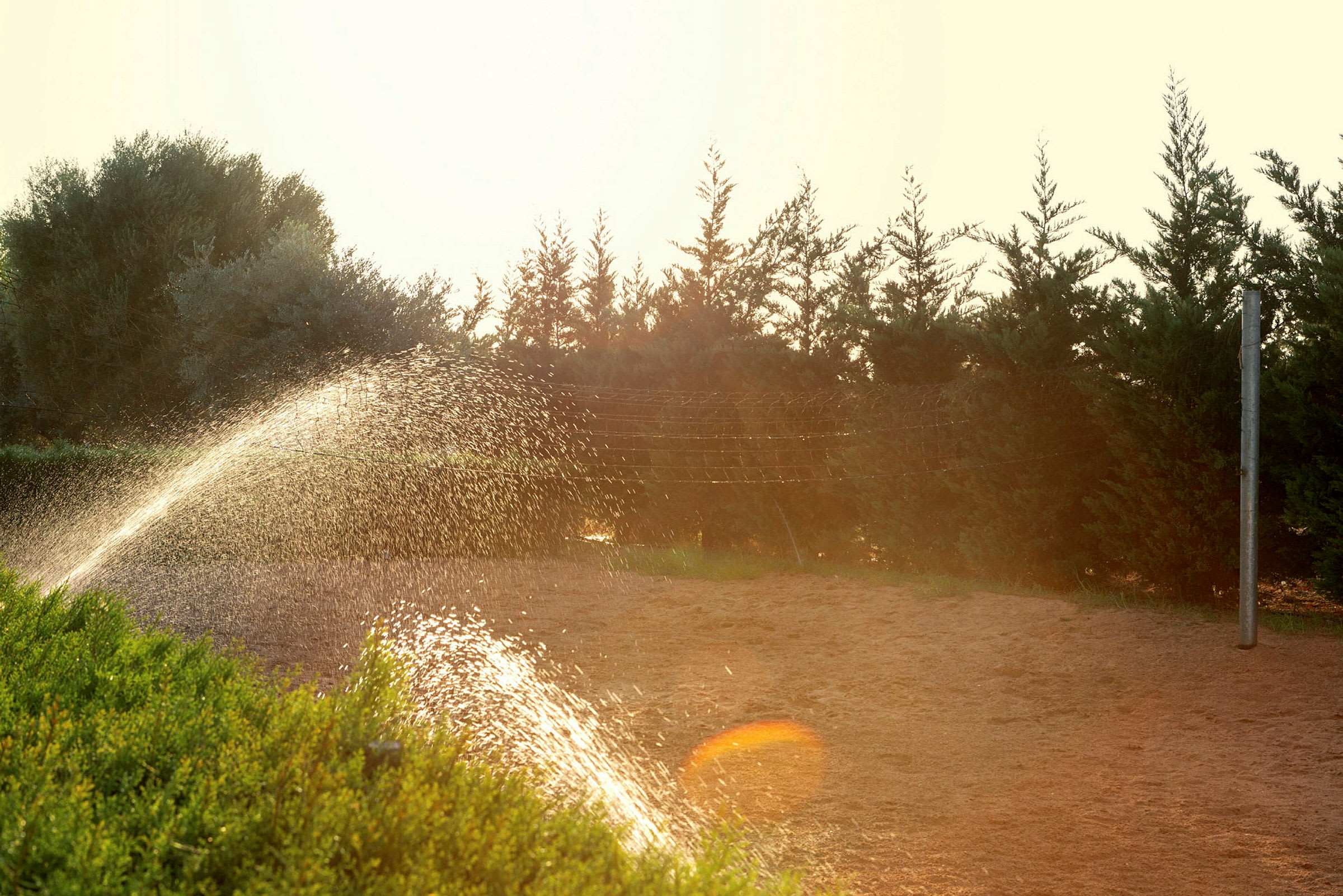 En gård med grönska och sprinkler som vattnar marken. (AI-genererad text)