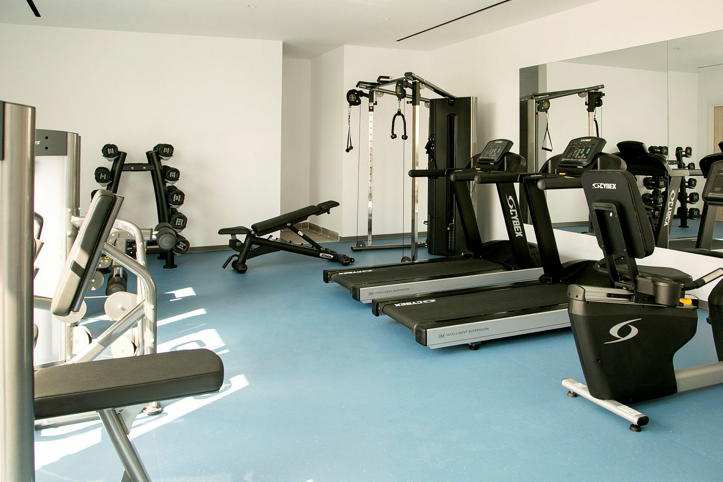 Ett gym med löpband, träningsmaskiner och hantlar. (AI-genererad text)