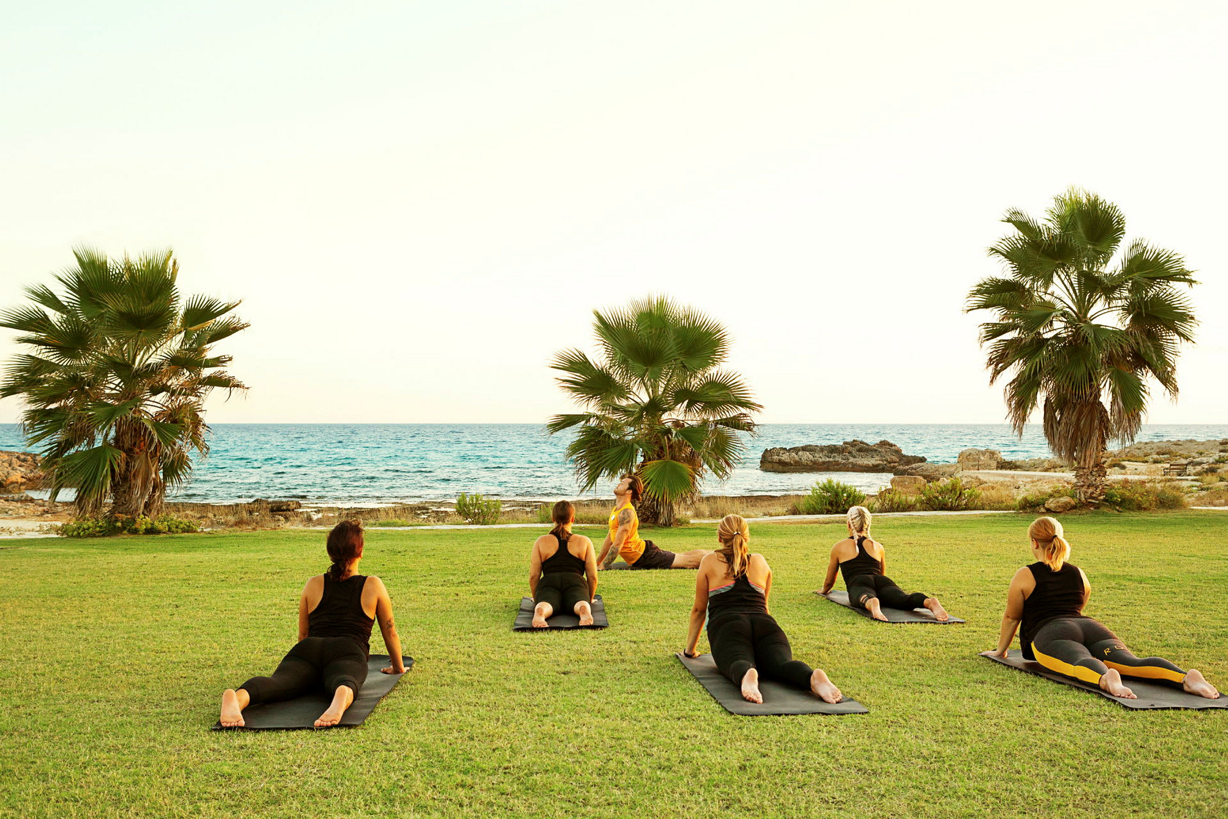 Människor utför yoga på gräset med utsikt över havet och palmer. (AI-genererad text)