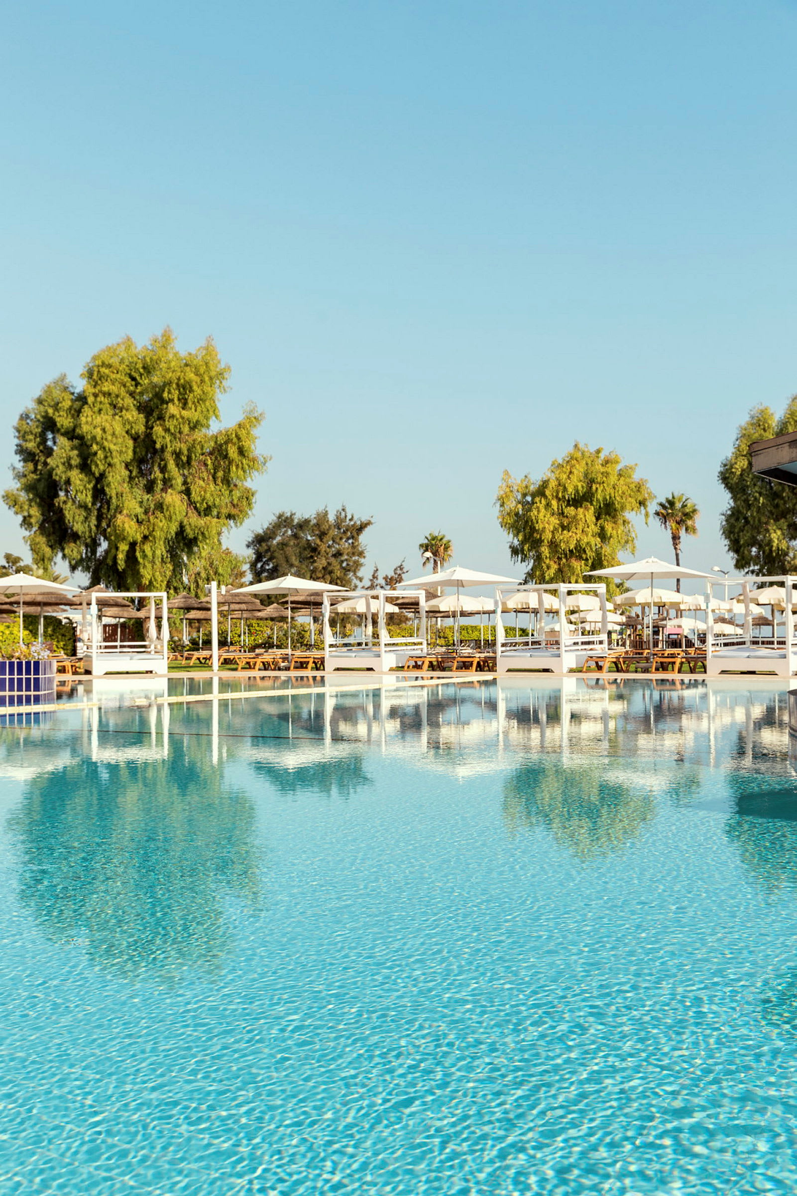 Blå pool med omgivande grönska och solstolar under parasoll. (AI-genererad text)
