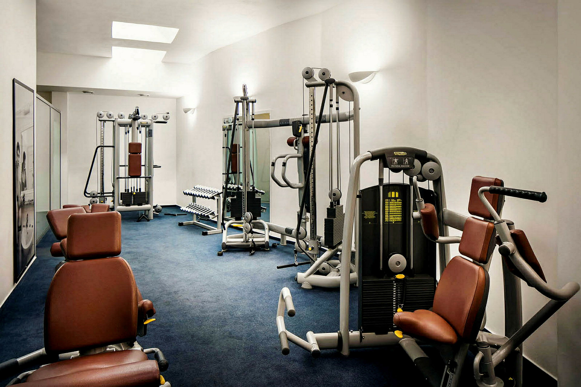 Ett gym med olika träningsmaskiner och hantelställ. (AI-genererad text)