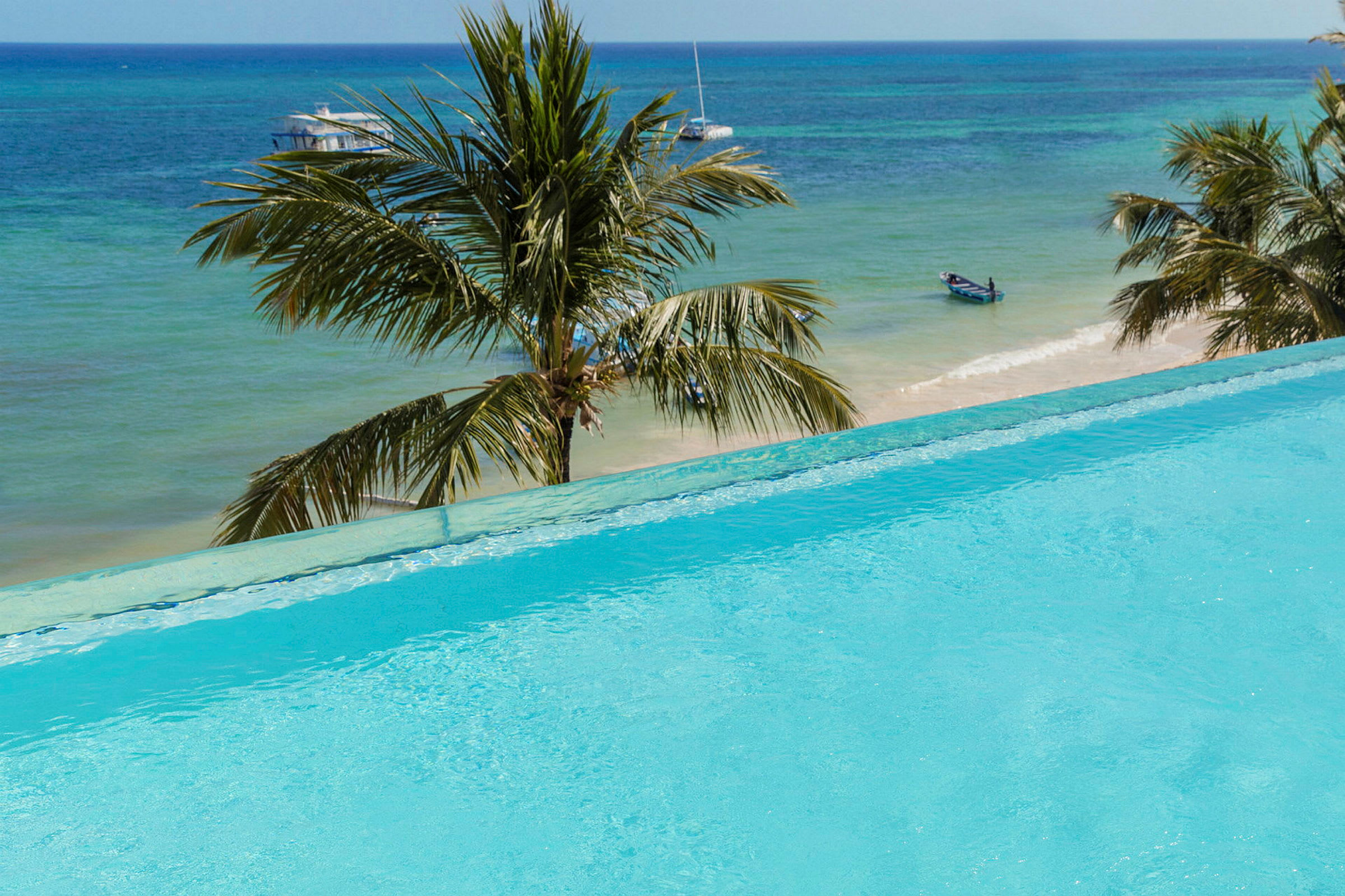 En infinitypool med utsikt över en sandstrand, palmer och havet. (AI-genererad text)
