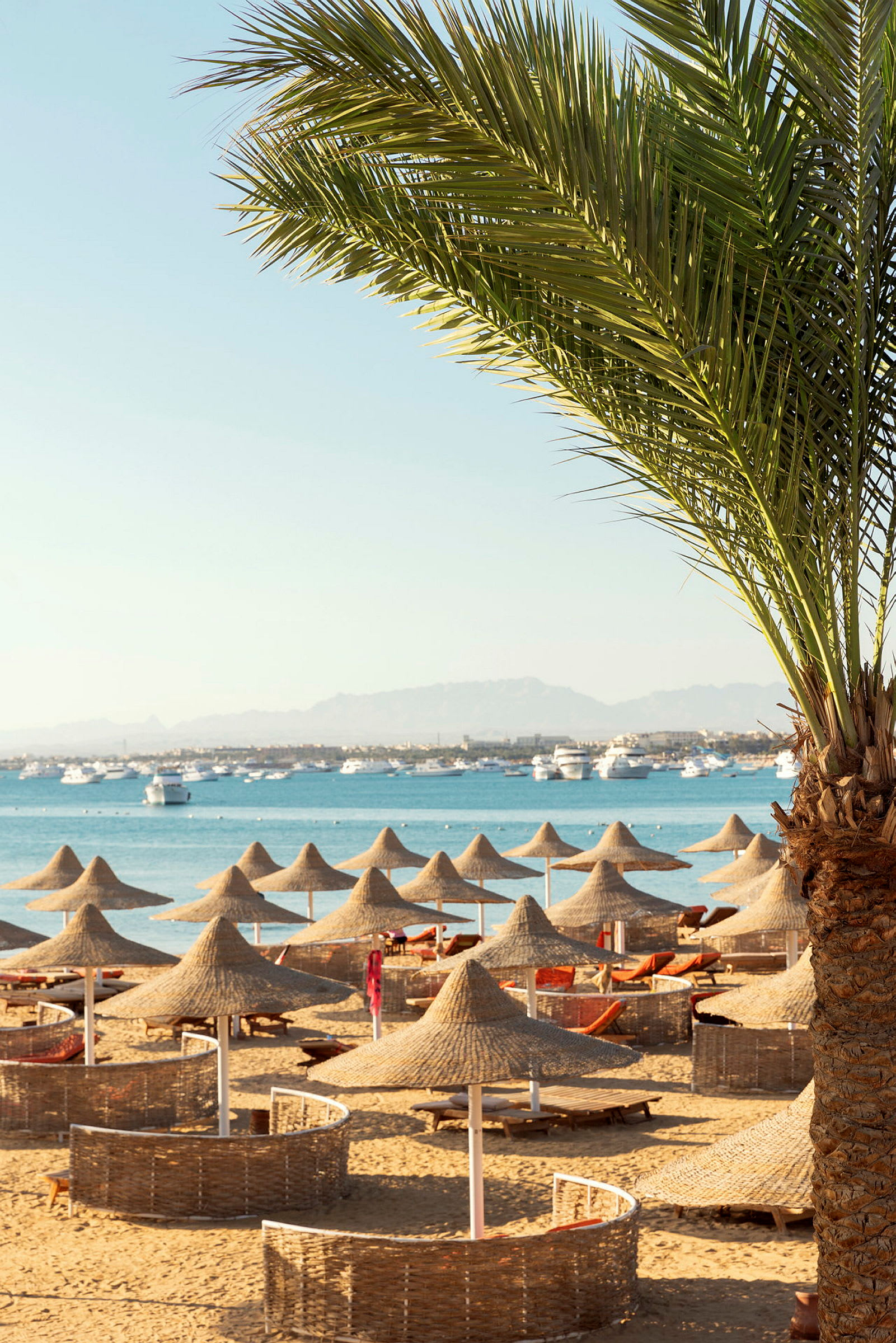 Strand med solskydd, palm och hav i bakgrunden. (AI-genererad text)