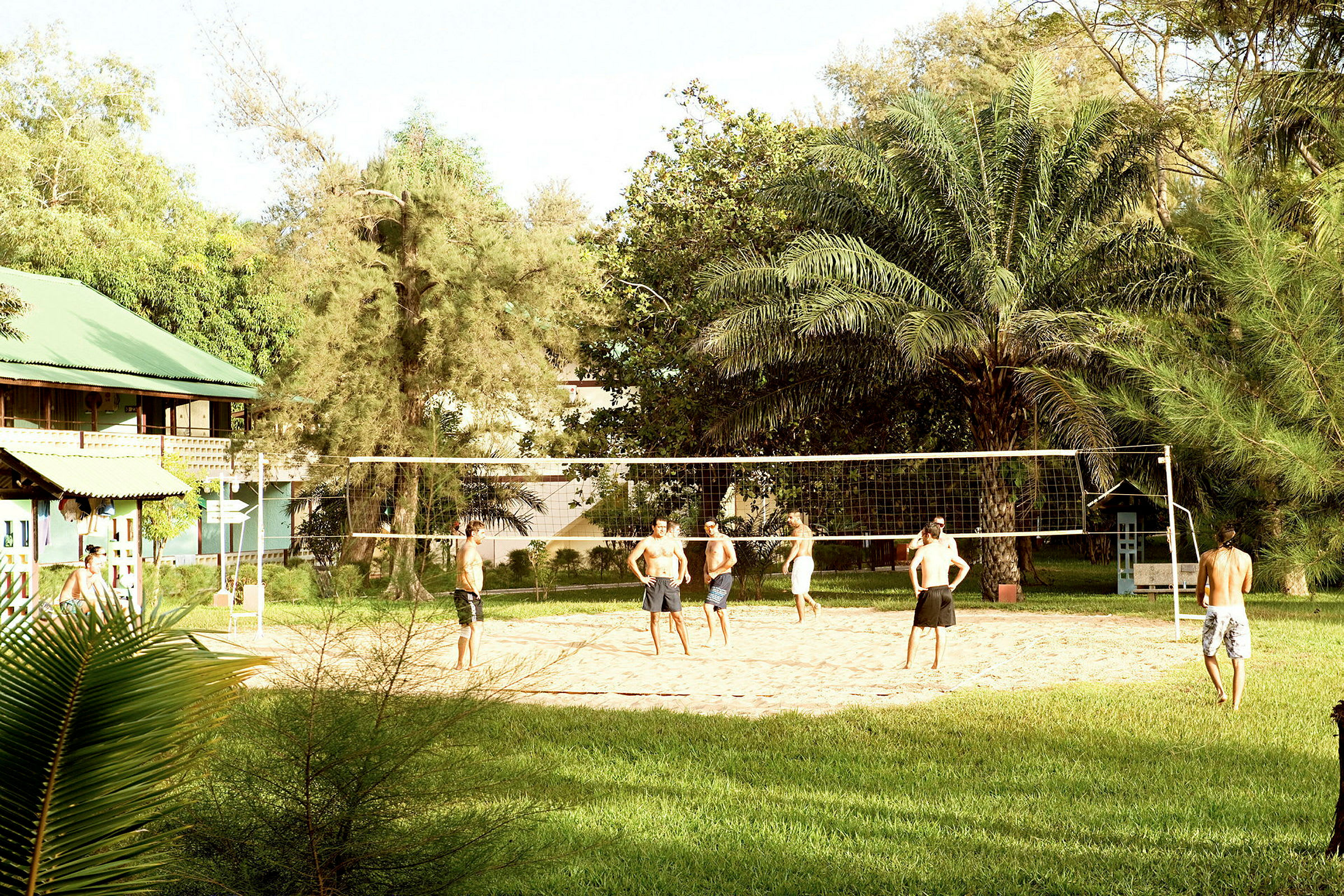 Personer spelar beachvolleyboll på en gräsplan med nät, omgivna av palmer och byggnader. (AI-genererad text)