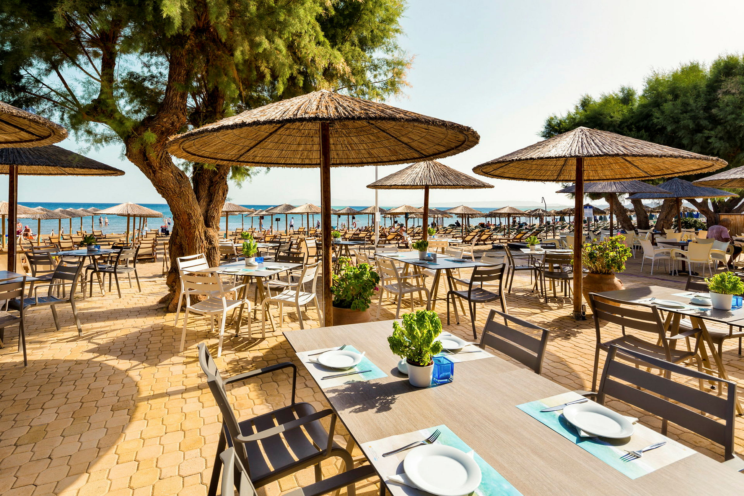 Utomhusrestaurang med bord, stolar och parasoller vid stranden. (AI-genererad text)