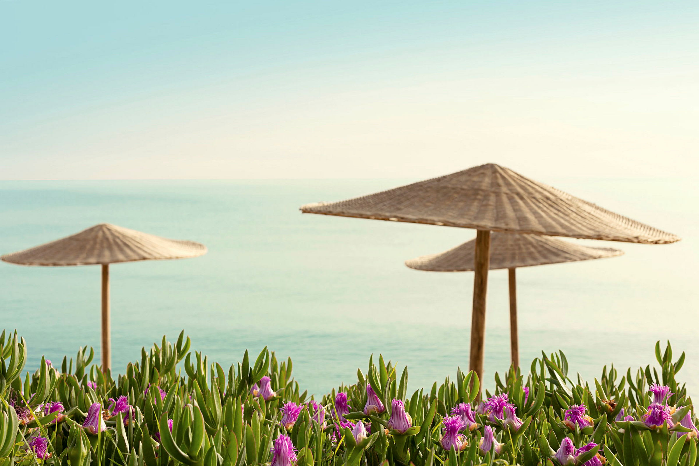 Två strandparasoller med havsbakgrund och blommor i förgrunden. (AI-genererad text)