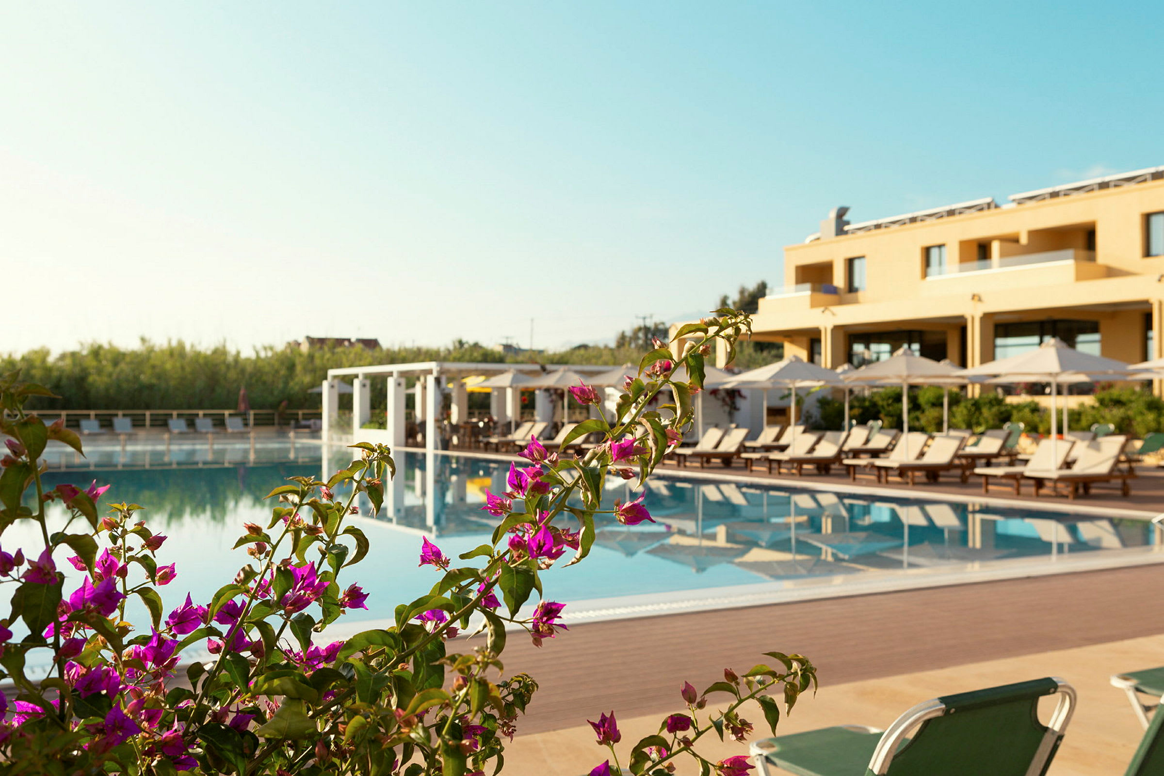 En utomhuspool med solstolar och parasoller vid ett hotell, omgiven av grönska. (AI-genererad text)
