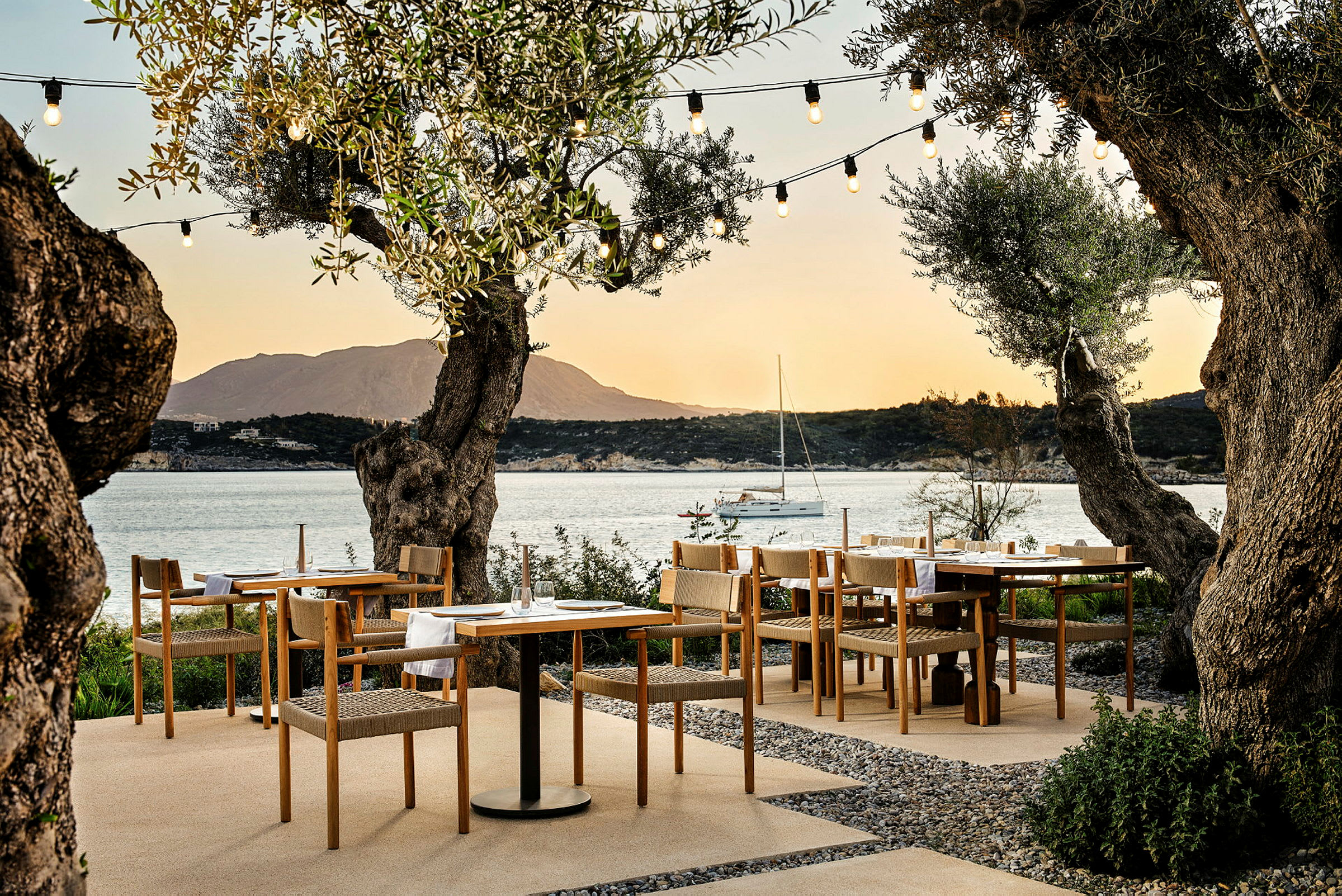 Utomhusrestaurang med stora olivträd, möbler i trä och utsikt över havet och berg i bakgrunden. (AI-genererad text)
