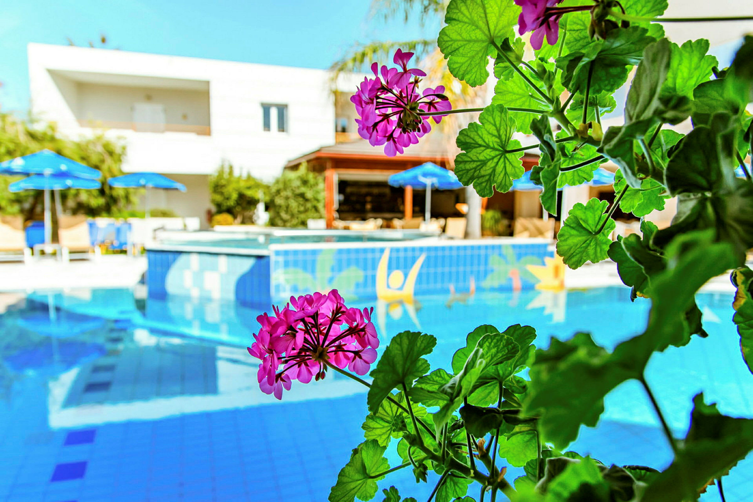 Närbild på rosa blommor vid en pool med blå parasoller och ett hotell i bakgrunden. (AI-genererad text)