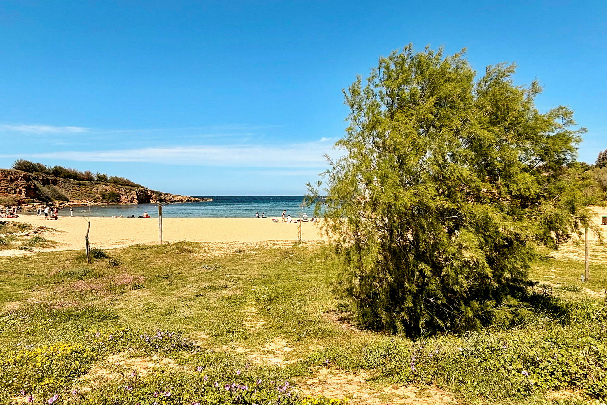 En sandstrand med människor, havet och grönskande växtlighet. (AI-genererad text)