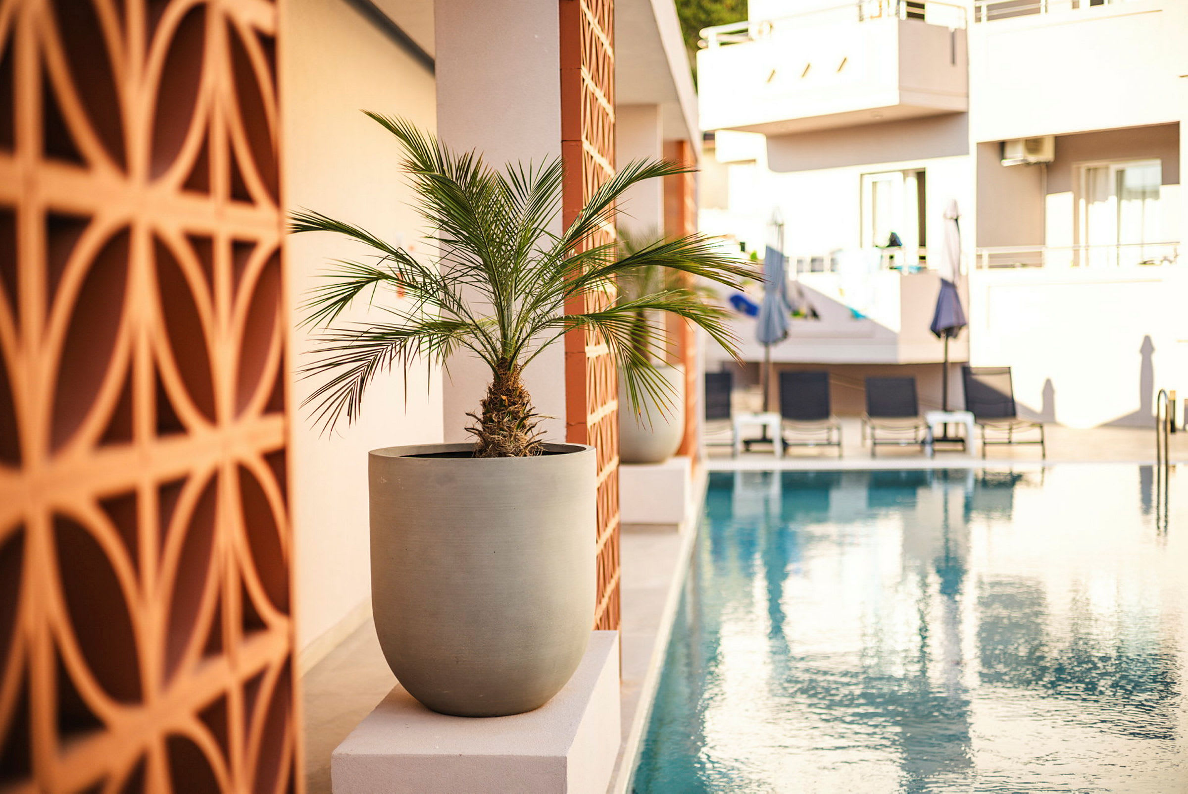 En vas med en liten palm på en kant bredvid en pool på ett hotell. (AI-genererad text)