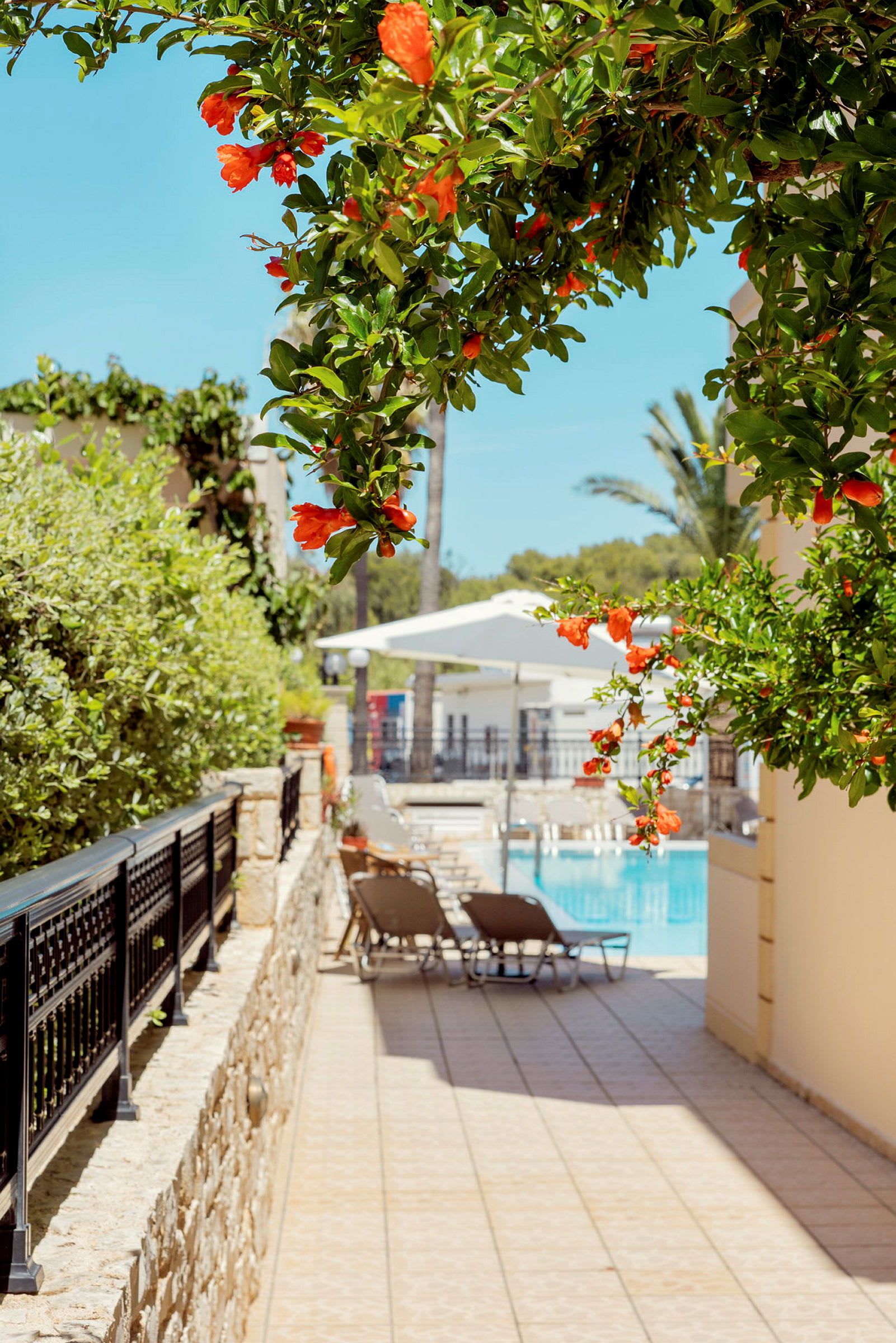 Växt med orangea blommor i en trädgård nära en pool. (AI-genererad text)