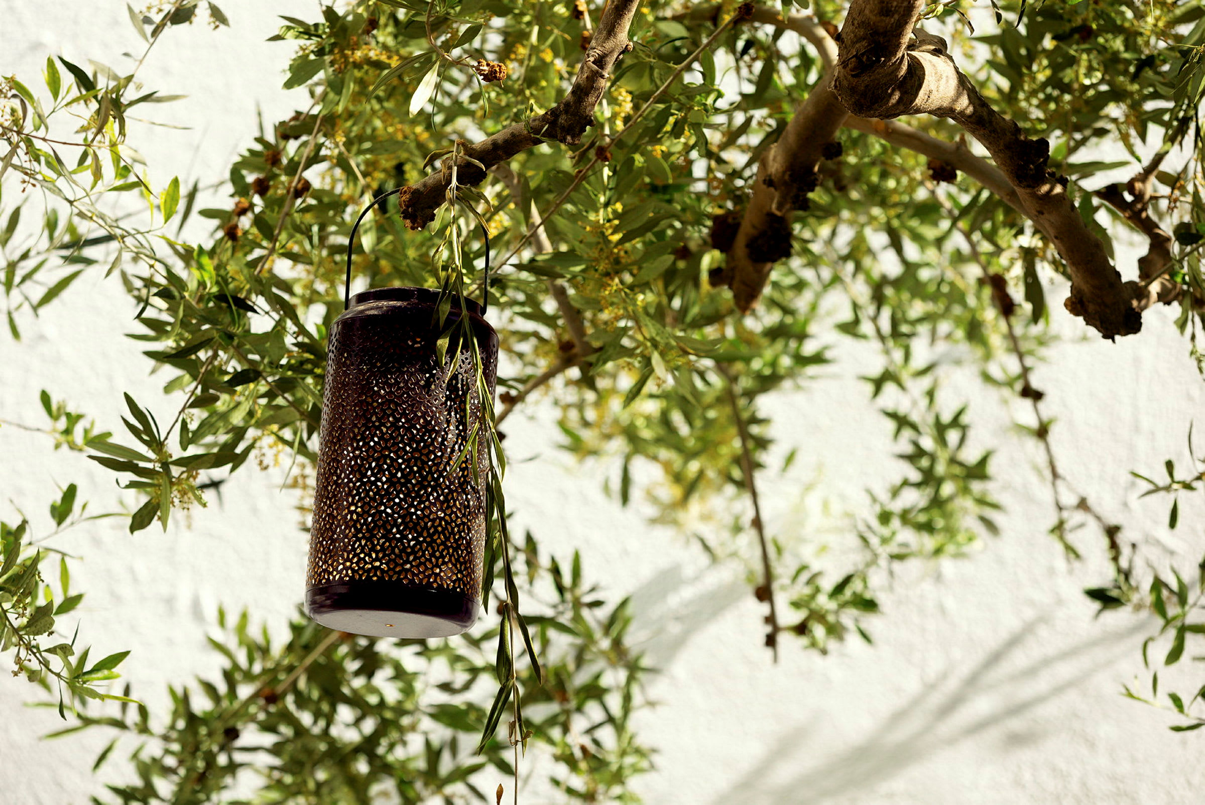 En dekorativ metalllykta hänger från en gren med gröna blad. (AI-genererad text)