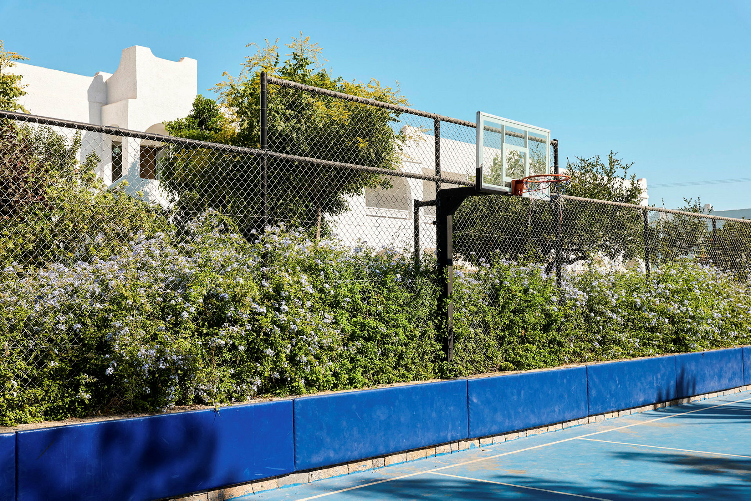 Bilden visar en basketplan med blå markeringar och en basketkorg. Bakom planen finns en buske med blommor och ett staket i metall som avgränsar området. I bakgrunden syns byggnader och träd under en klarblå himmel. (AI-genererad text)