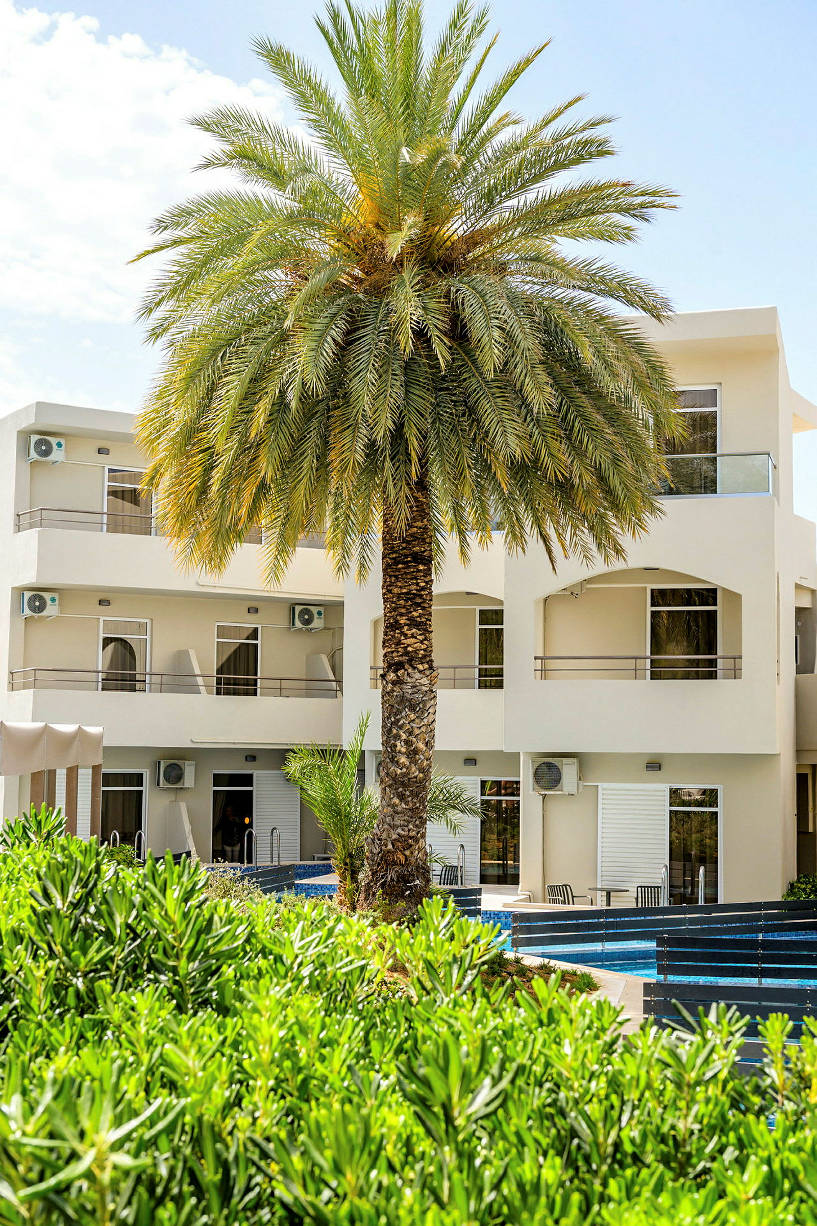 En vit byggnad med flera rum, omgiven av grönt vegetation och med en stor palm i förgrunden. (AI-genererad text)