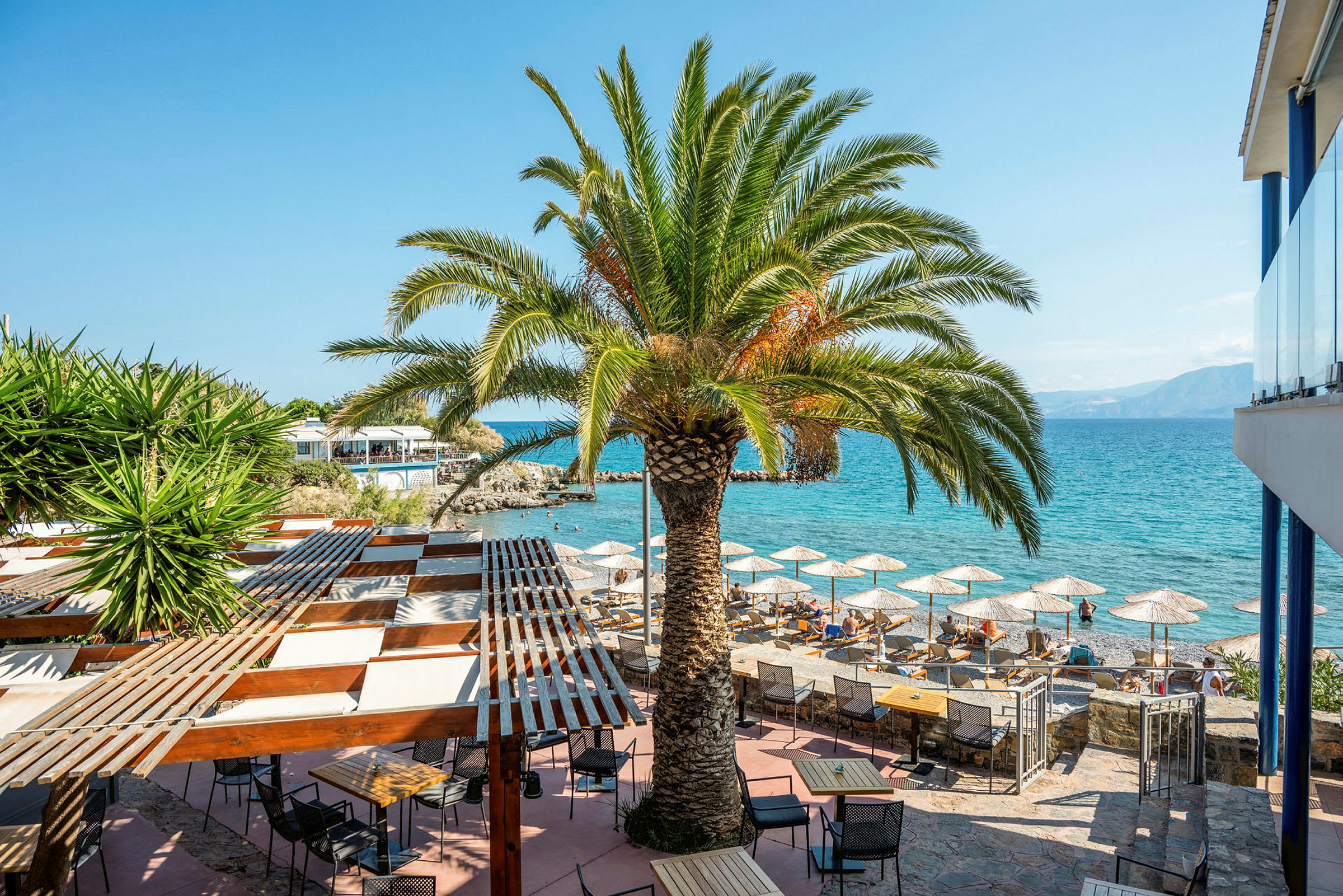 Bild av en palm vid en utomhusservering med utsikt över havet. (AI-genererad text)