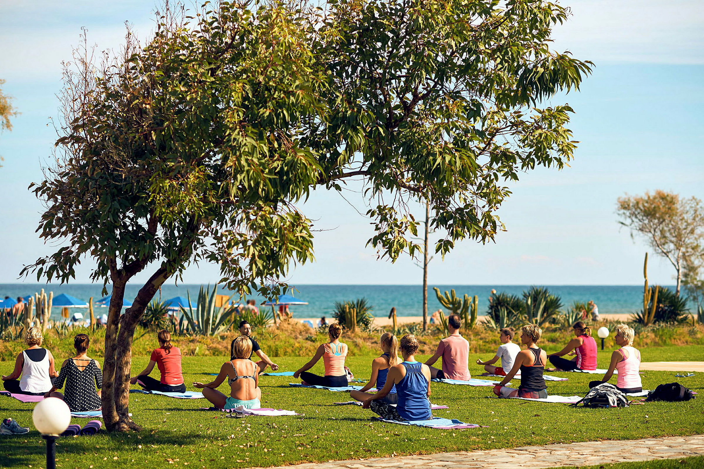 En grupp människor sitter på yogamattor på gräs nära havet. (AI-genererad text)