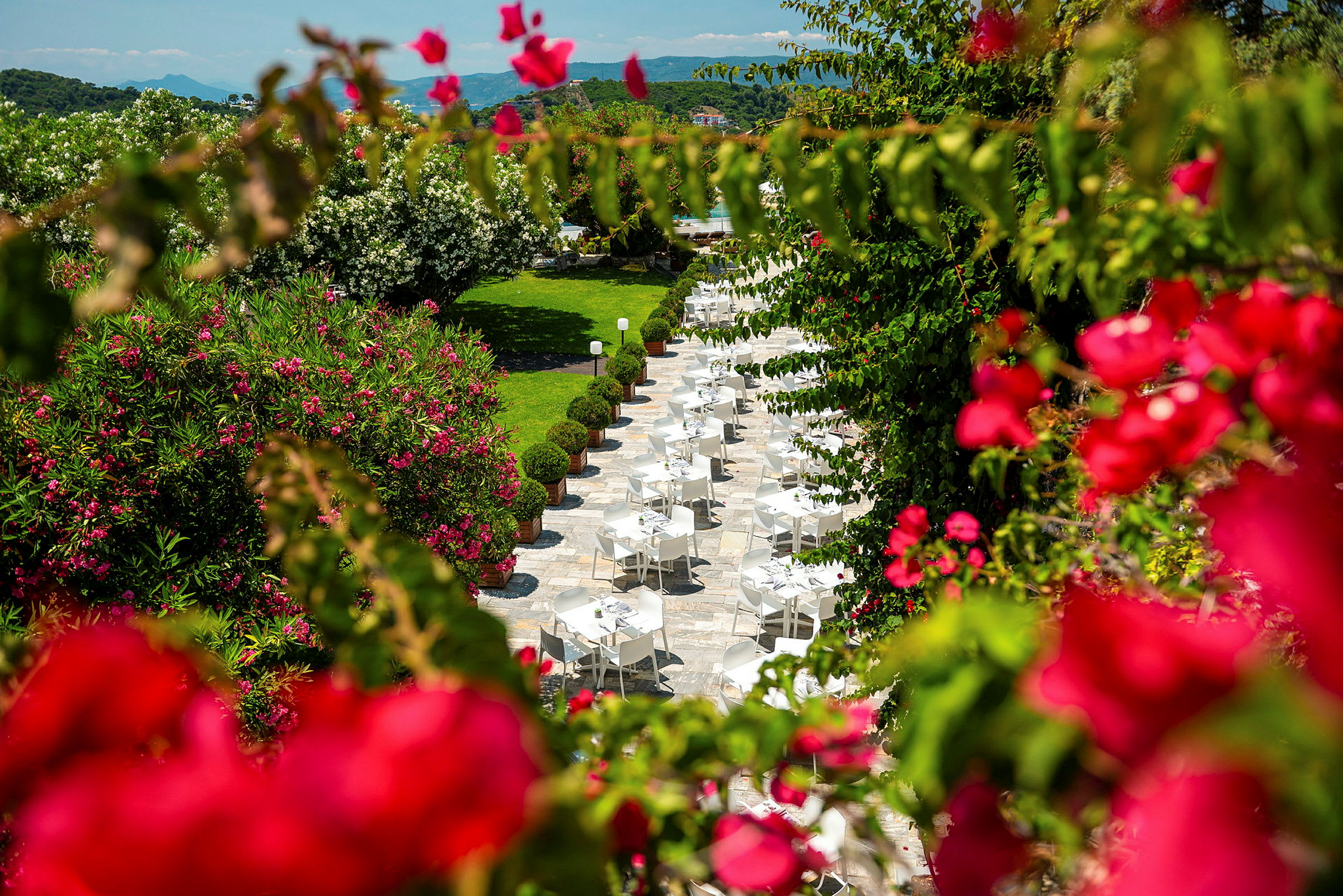 Utomhusrestaurang omgiven av frodig grönska och färgglada blommor. (AI-genererad text)