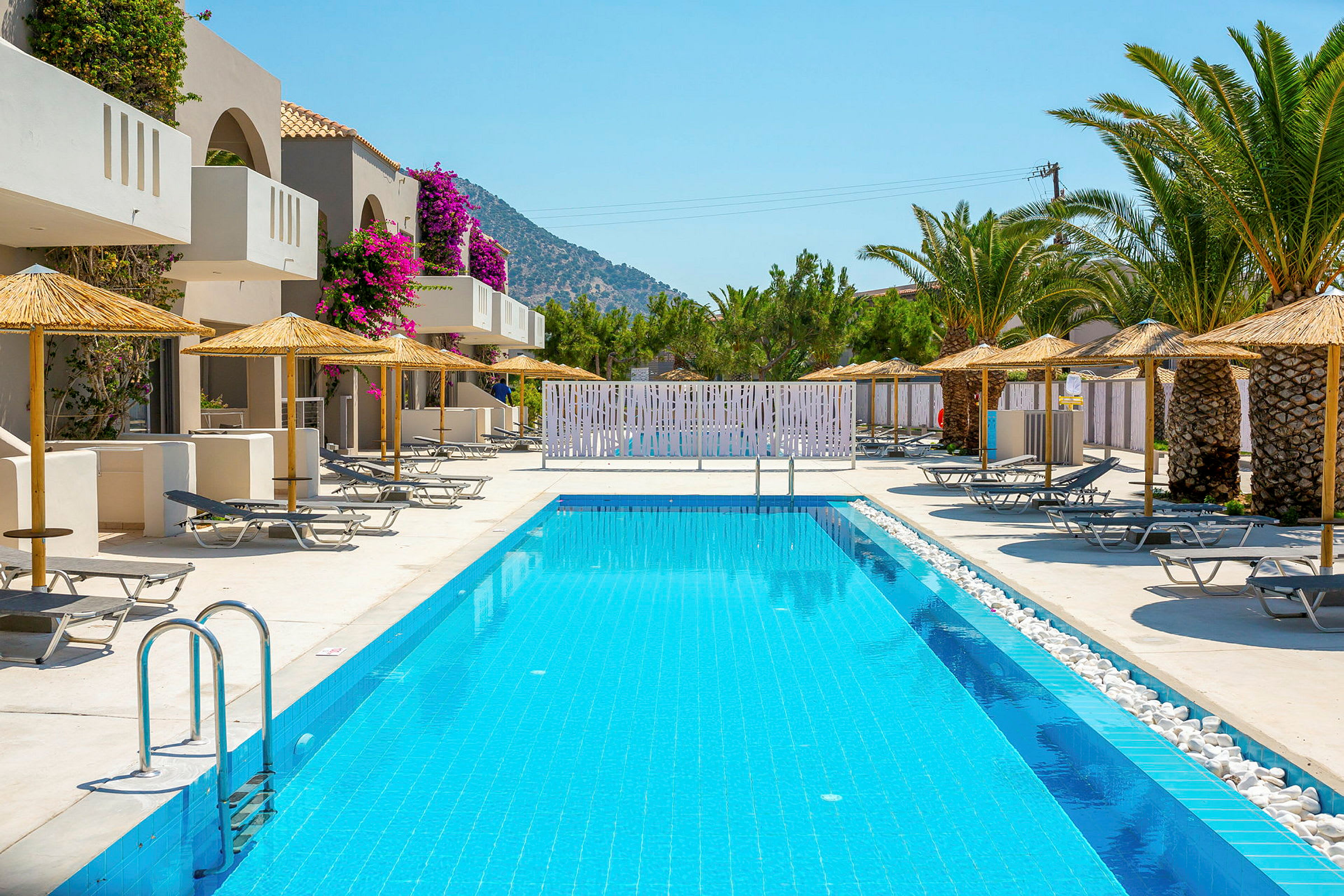En lång pool omgiven av solstolar och parasoller vid ett hotell med palmträd och blommor. (AI-genererad text)