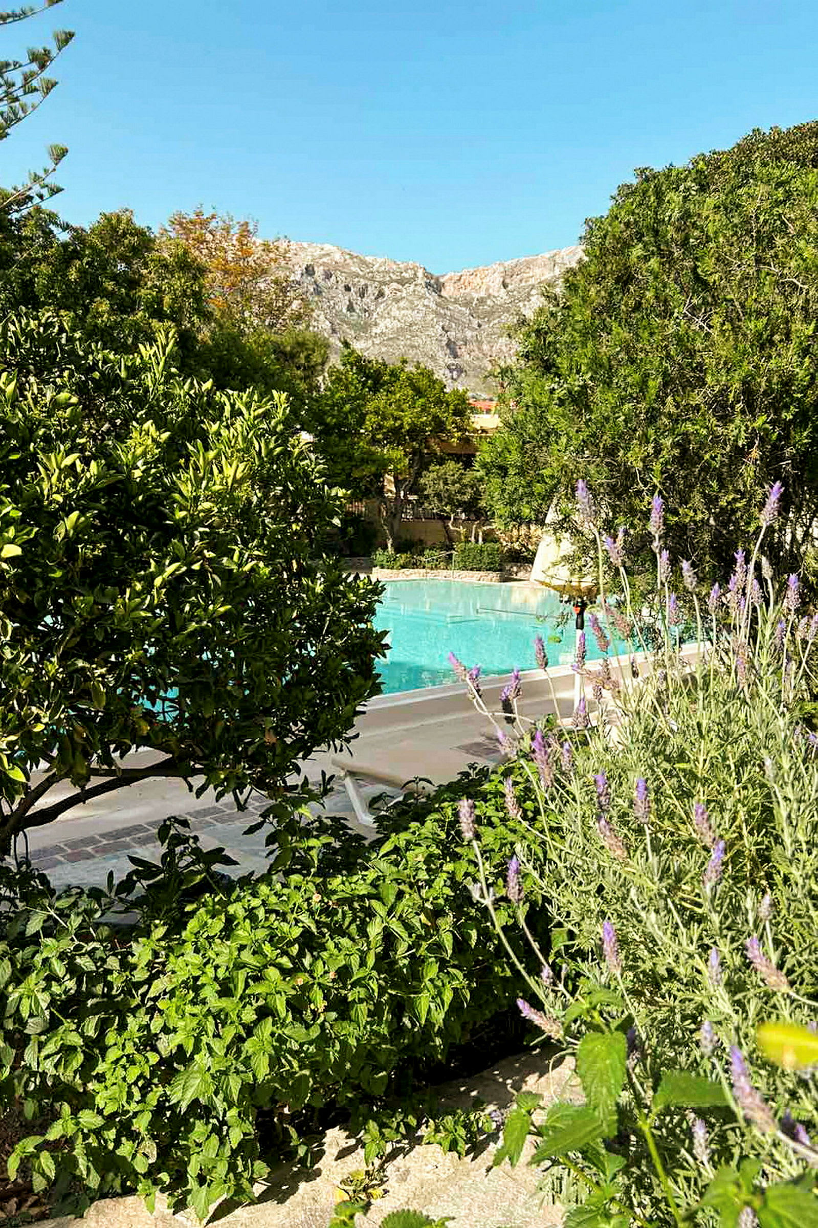 En grönskande trädgård med lavendel och buskar vid en utomhuspool. En bergskedja syns i bakgrunden. (AI-genererad text)