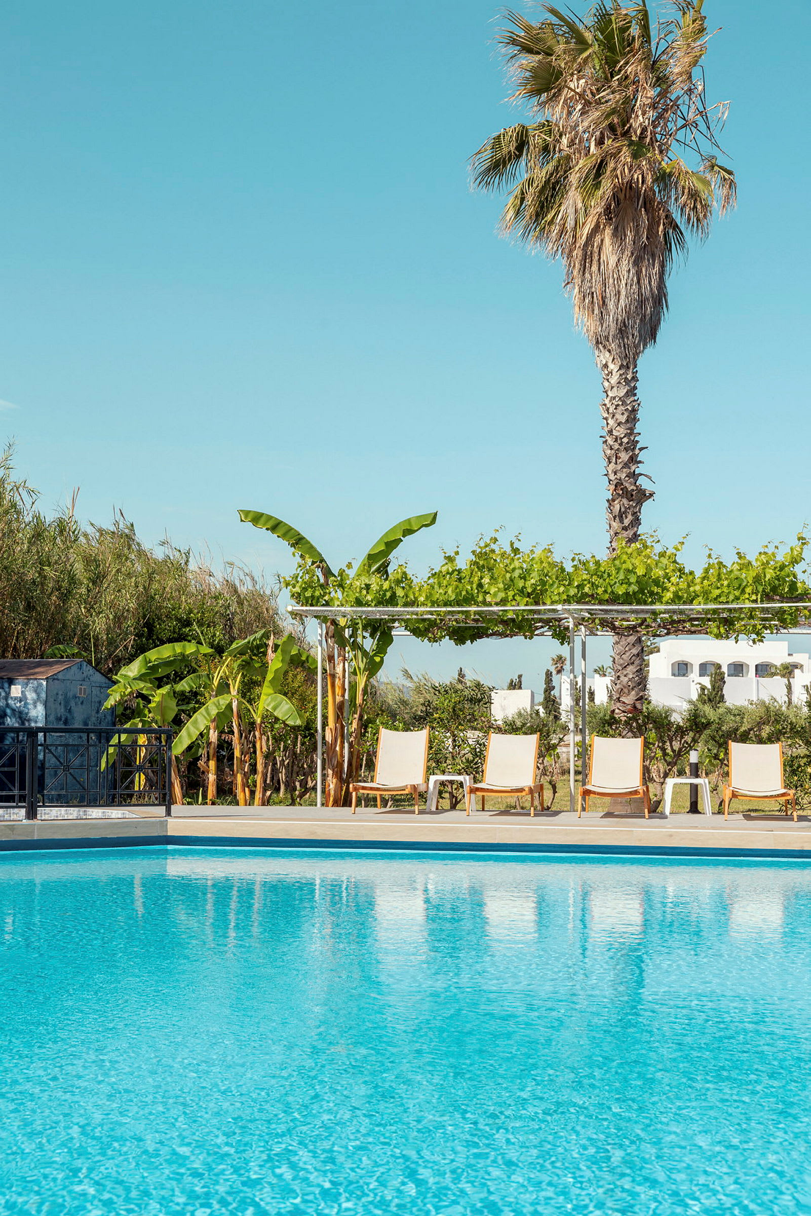 Swimmingpool med solstolar, palmer och grönska. (AI-genererad text)