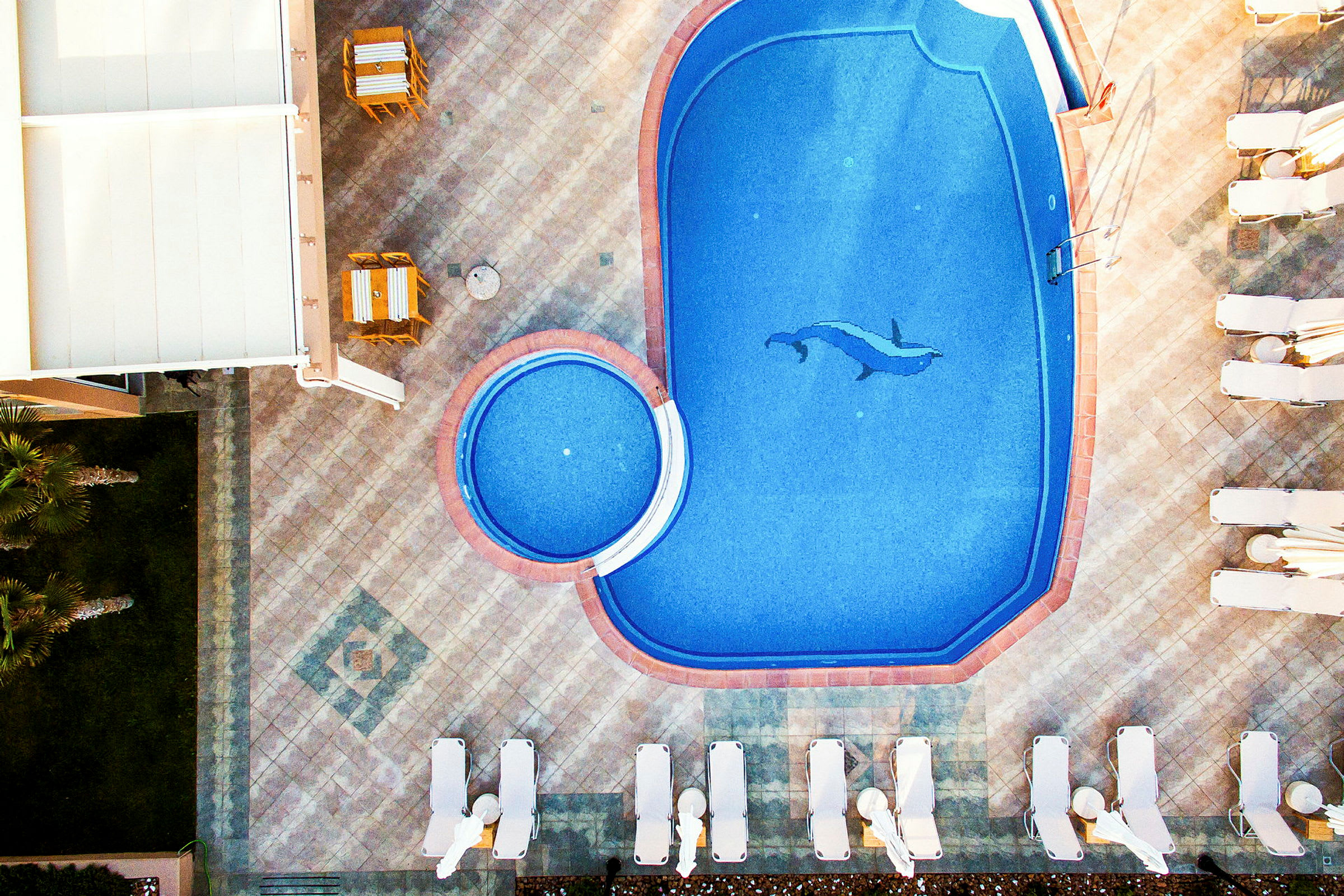 En utomhuspool med delfinmotiv, omgiven av solstolar och ett mindre anslutande cirkulärt poolområde. (AI-genererad text)