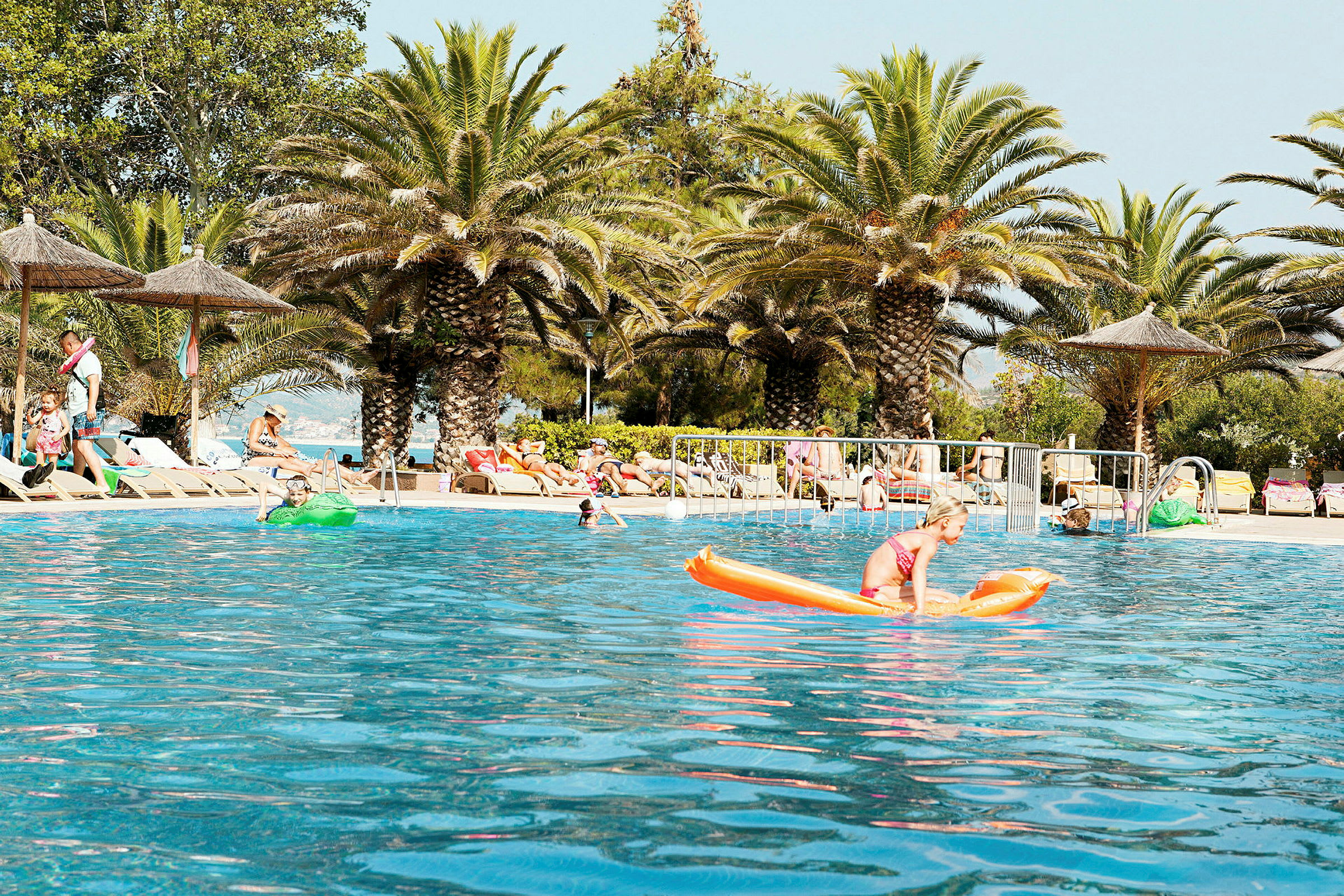 En pool omgiven av palmer och solstolar. (AI-genererad text)