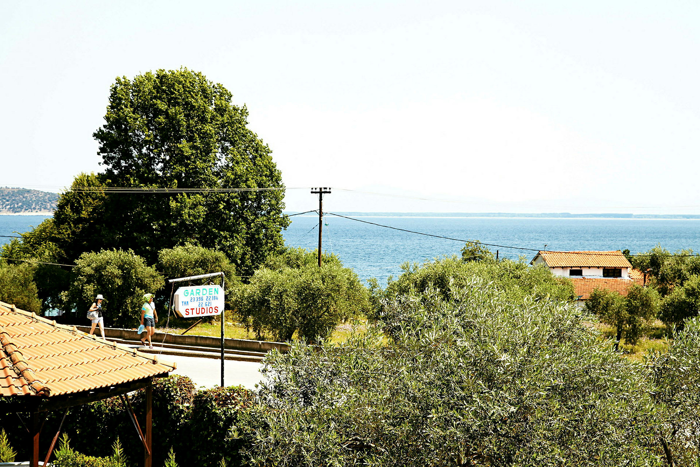 Utsikt över havet med grönskande träd, ett hus med rött tak och en skylt för Garden Studios. (AI-genererad text)