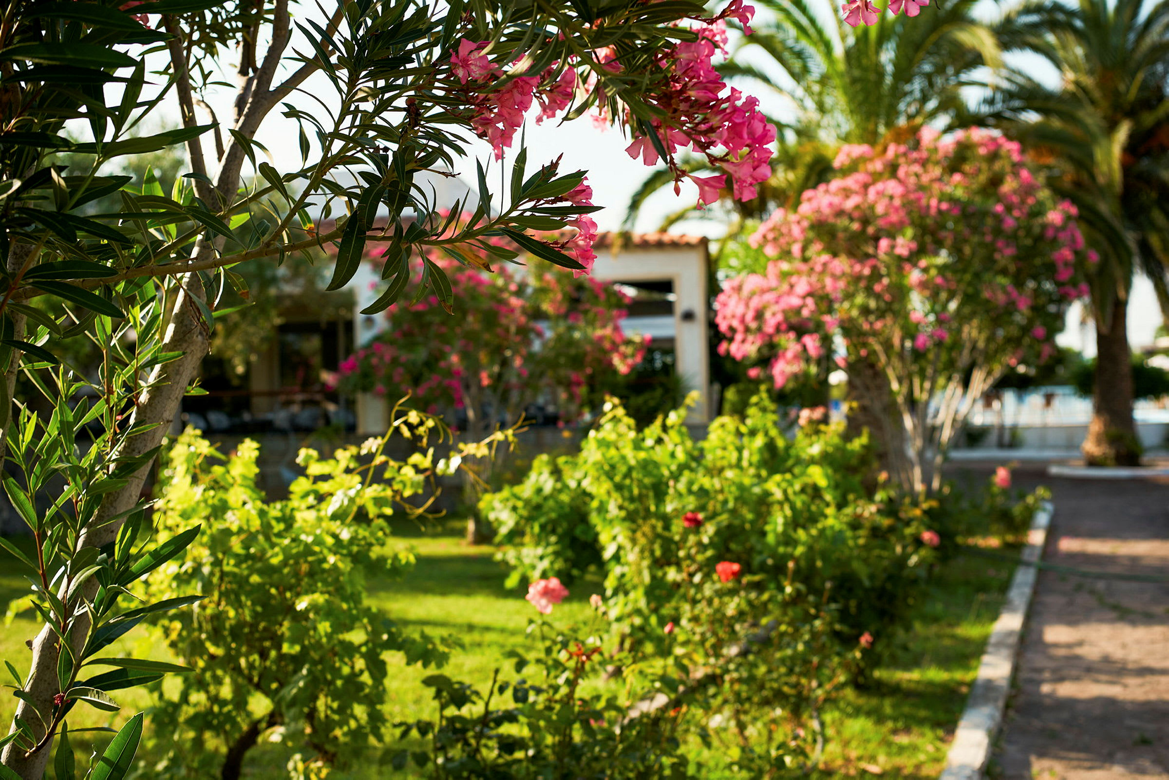Trädgård med grönska och rosa blommor i förgrunden. (AI-genererad text)