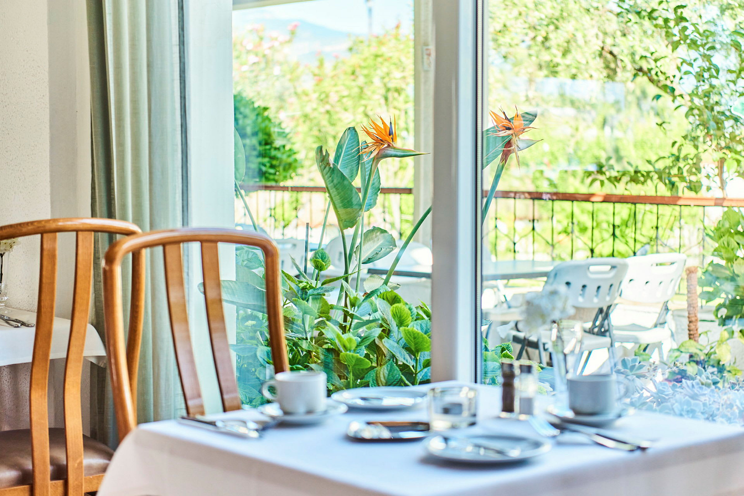 Ett dukat bord framför ett fönster med utsikt över en trädgård med gröna växter och blommor. (AI-genererad text)