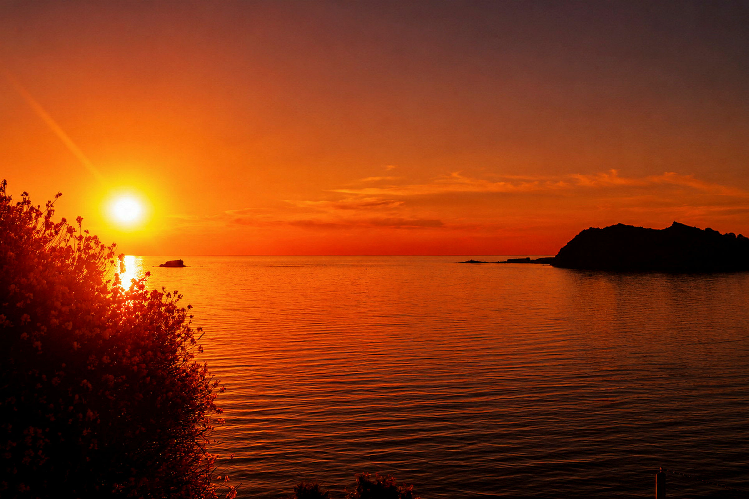 Solnedgång över havet med en buske till vänster och klippor i horisonten. (AI-genererad text)