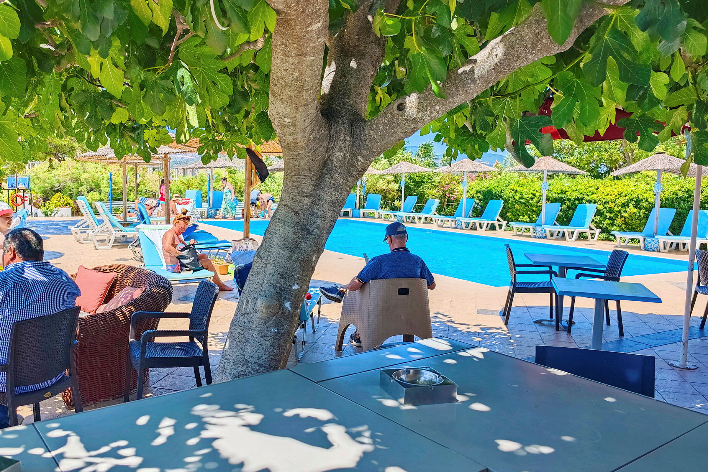 En utomhusbild av en pool med solstolar och parasoller, omgiven av grönska. I förgrunden finns ett träd och bord. (AI-genererad text)