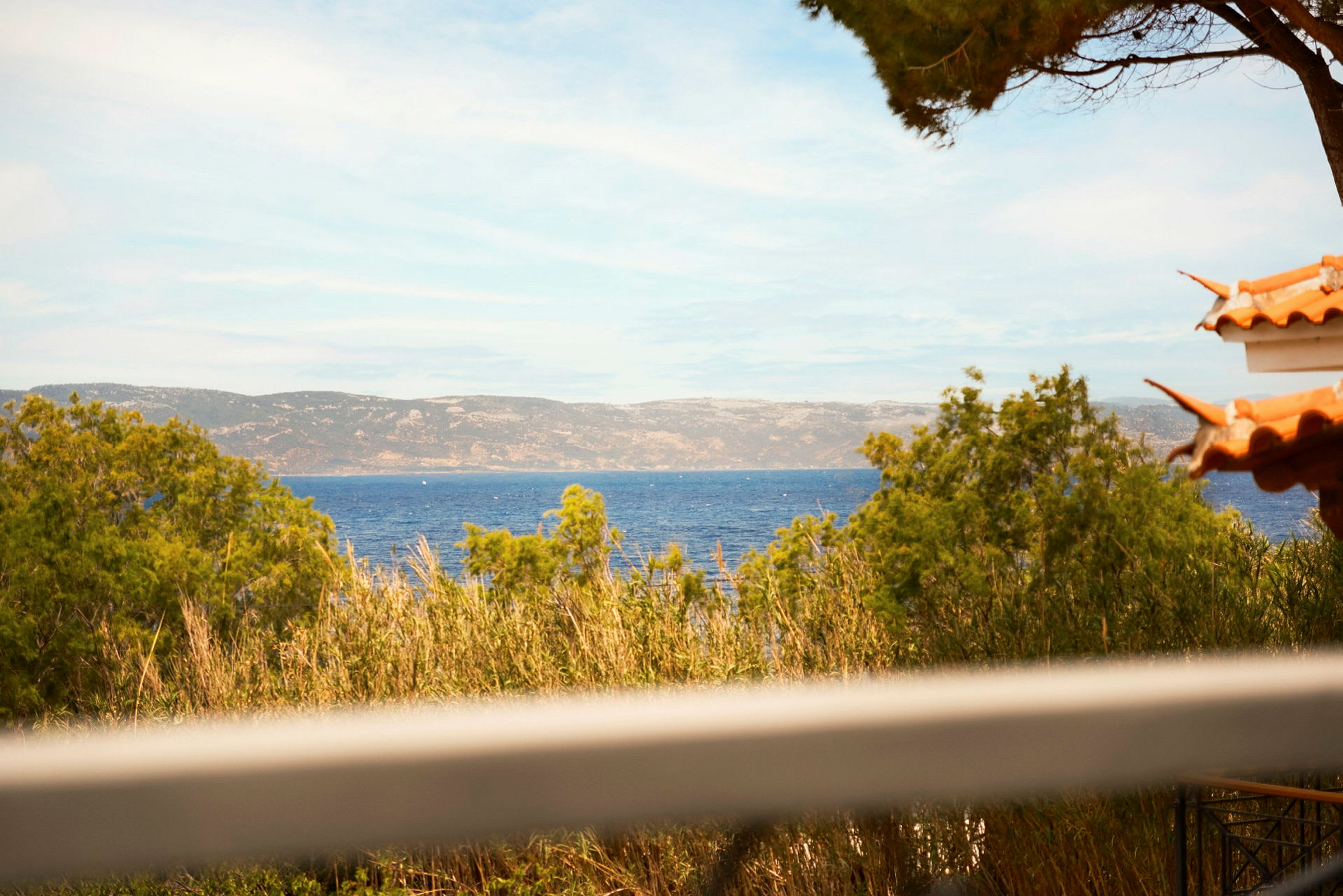 Utsikt över havet med buskar och träd i förgrunden och berg i bakgrunden. (AI-genererad text)