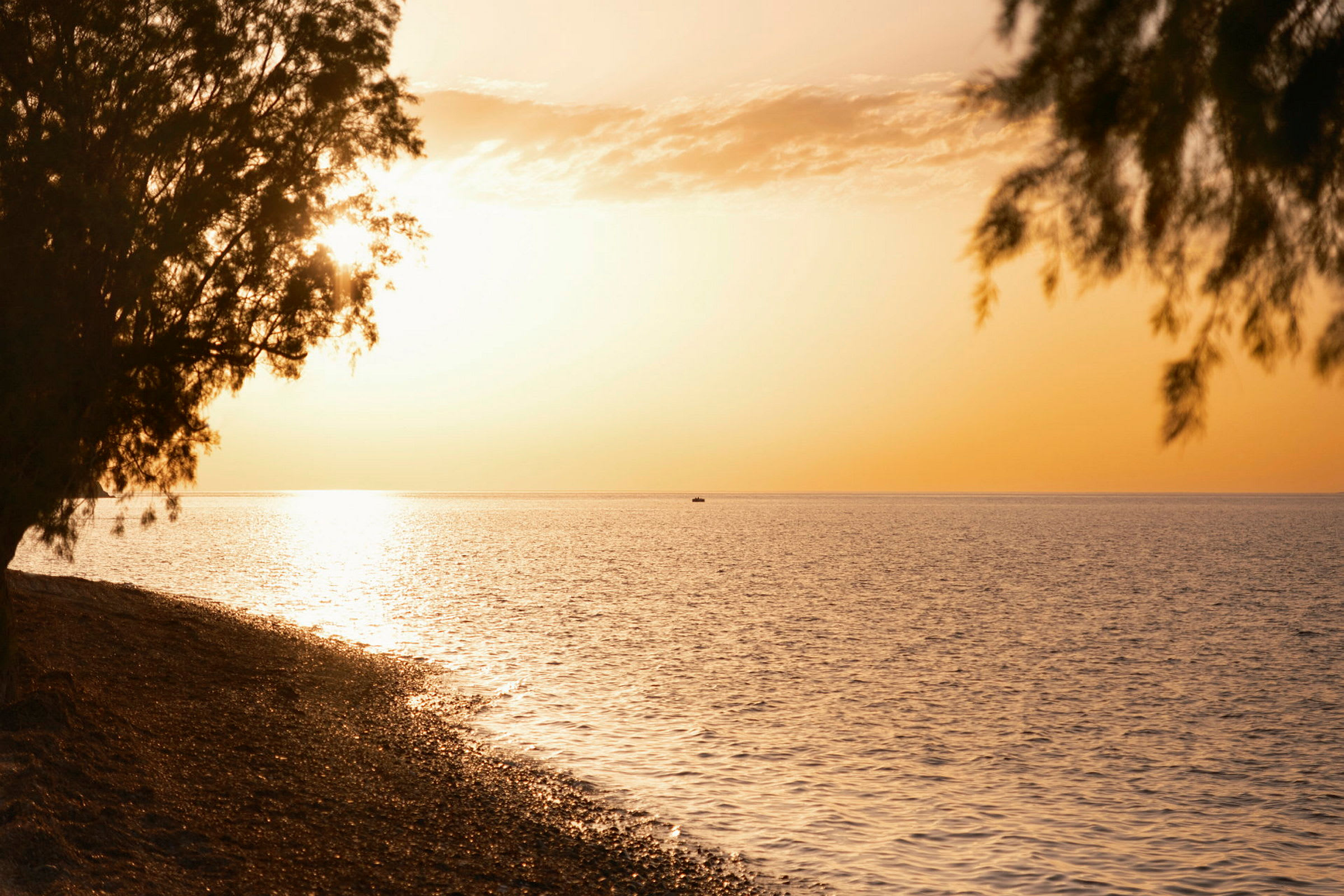 Solnedgång över havet med trädgrenar i förgrunden. (AI-genererad text)