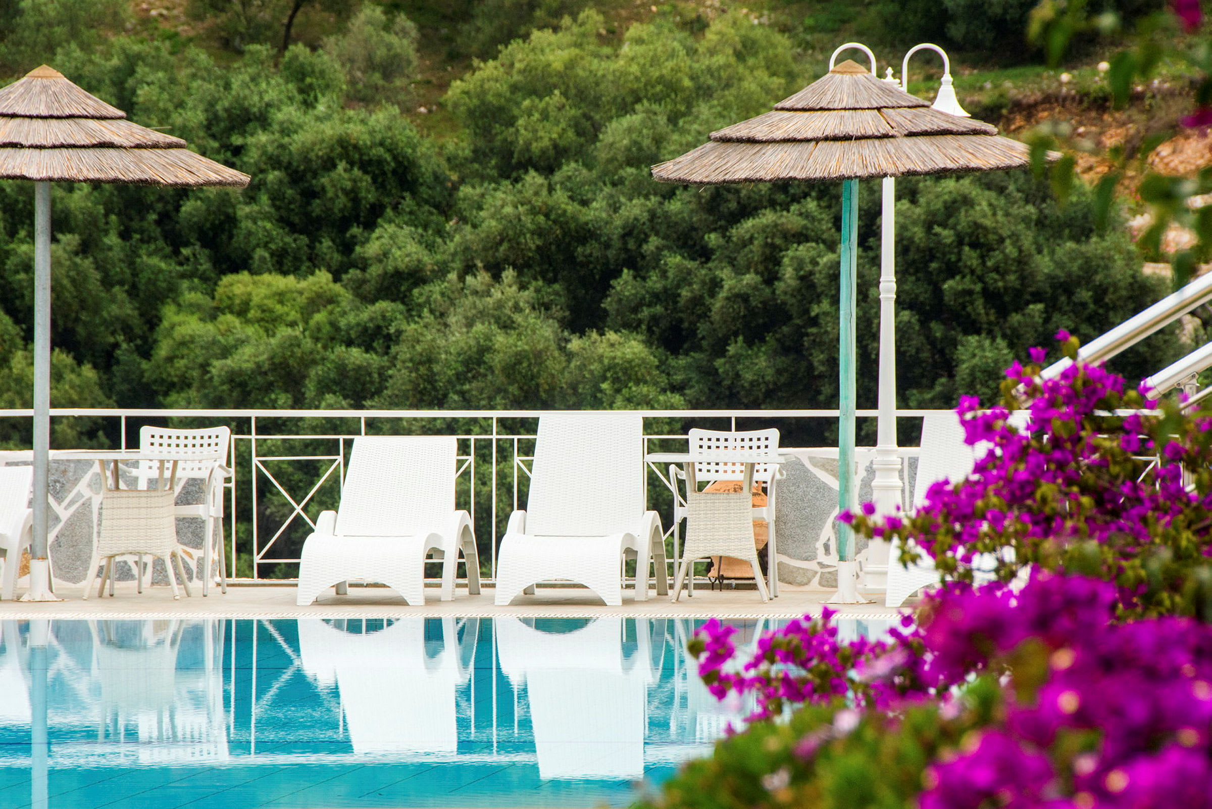 Solstolar och parasoller vid en pool med gröna träd i bakgrunden. (AI-genererad text)