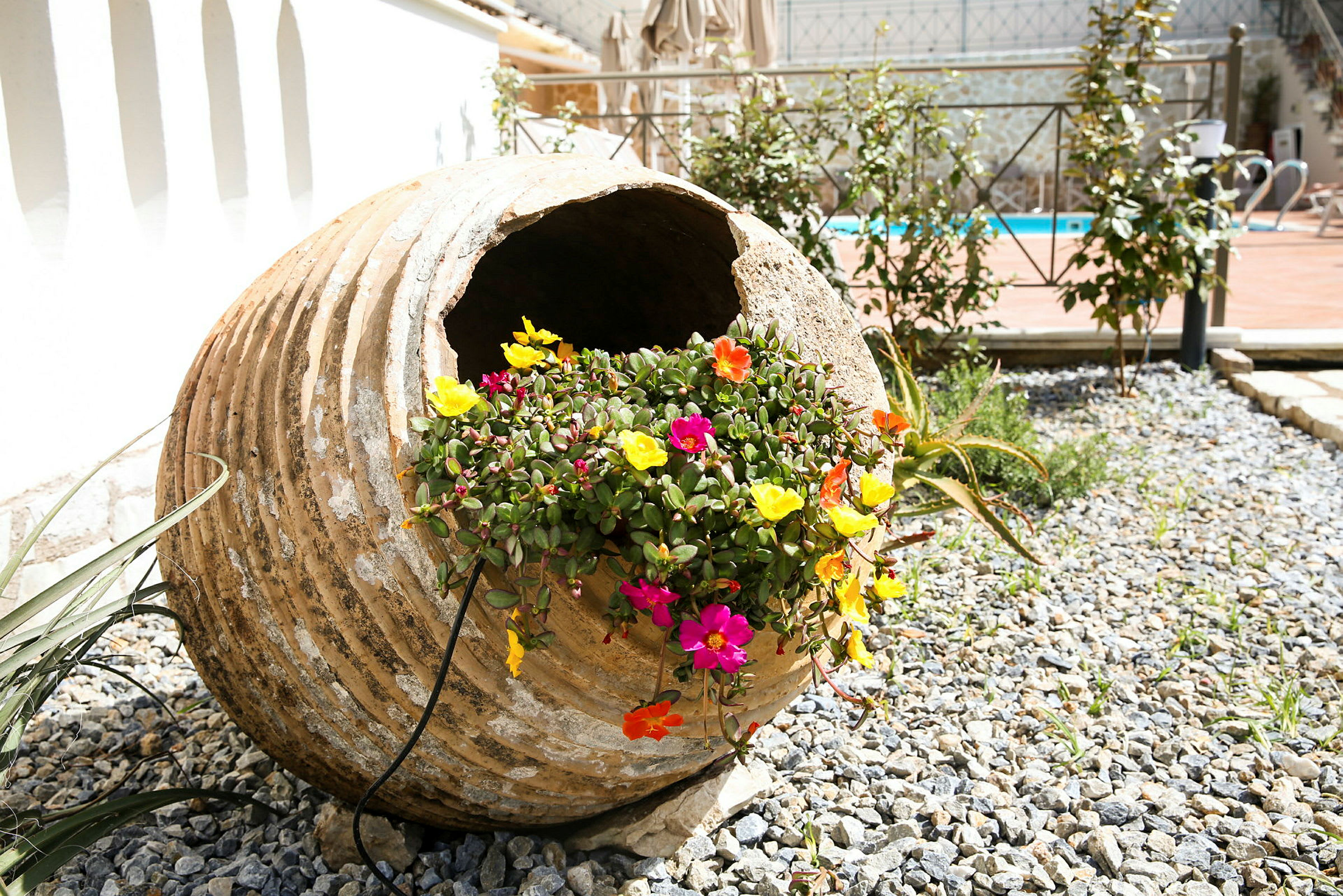 Stor terrakottakruka fylld med färgglada blommor på en grusplan. (AI-genererad text)